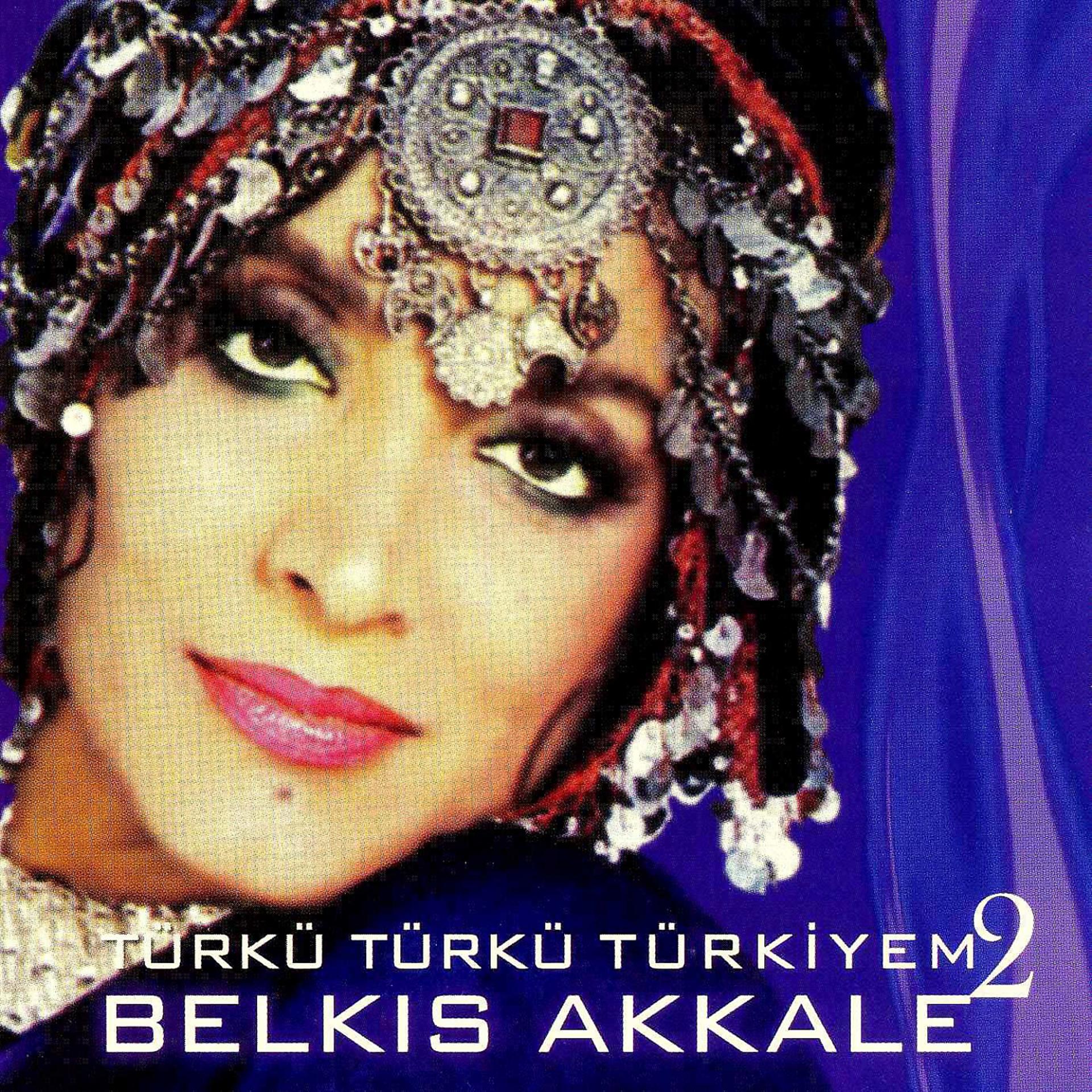 Постер альбома Türkü Türkü Türkiyem, Vol. 2