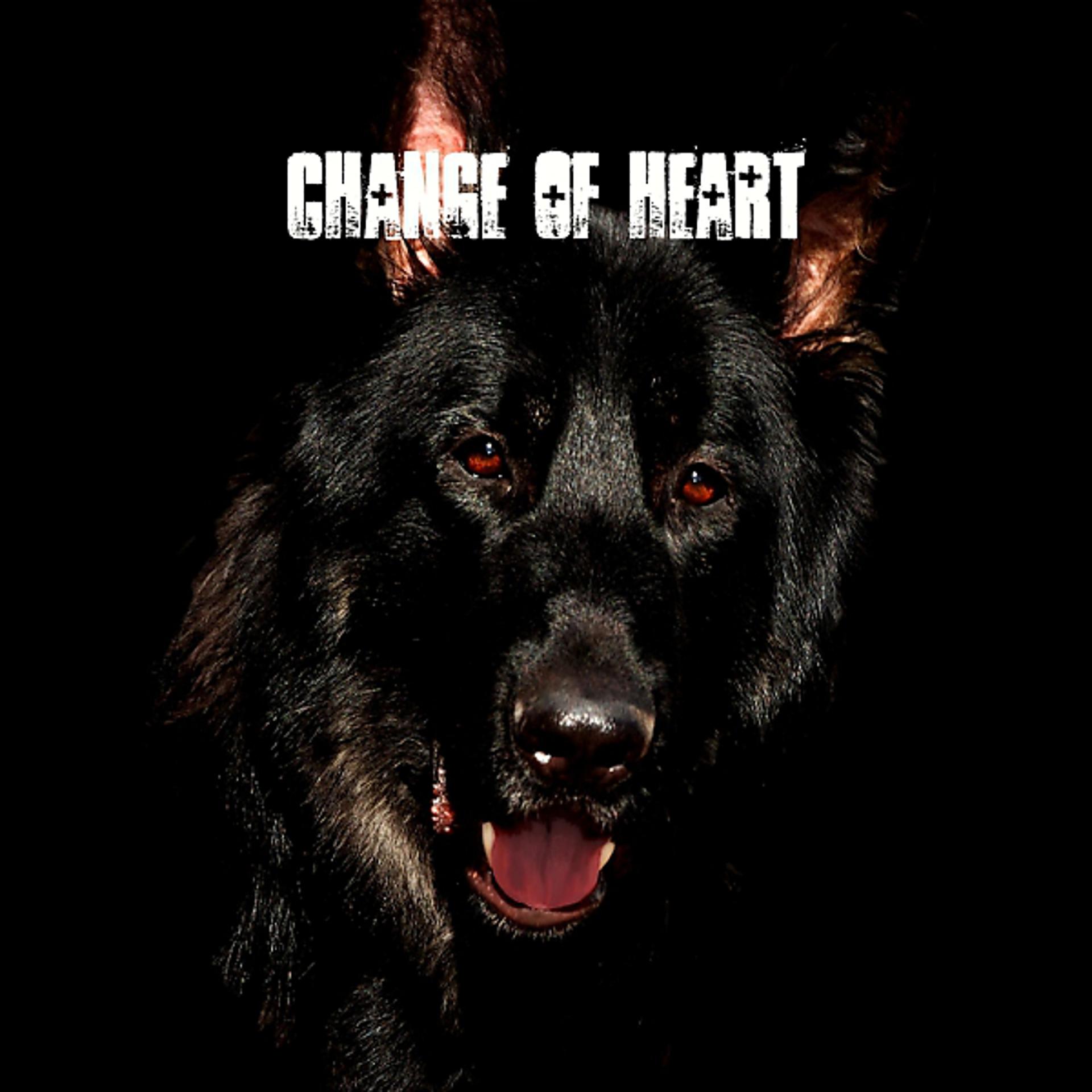 Постер альбома Change Of Heart