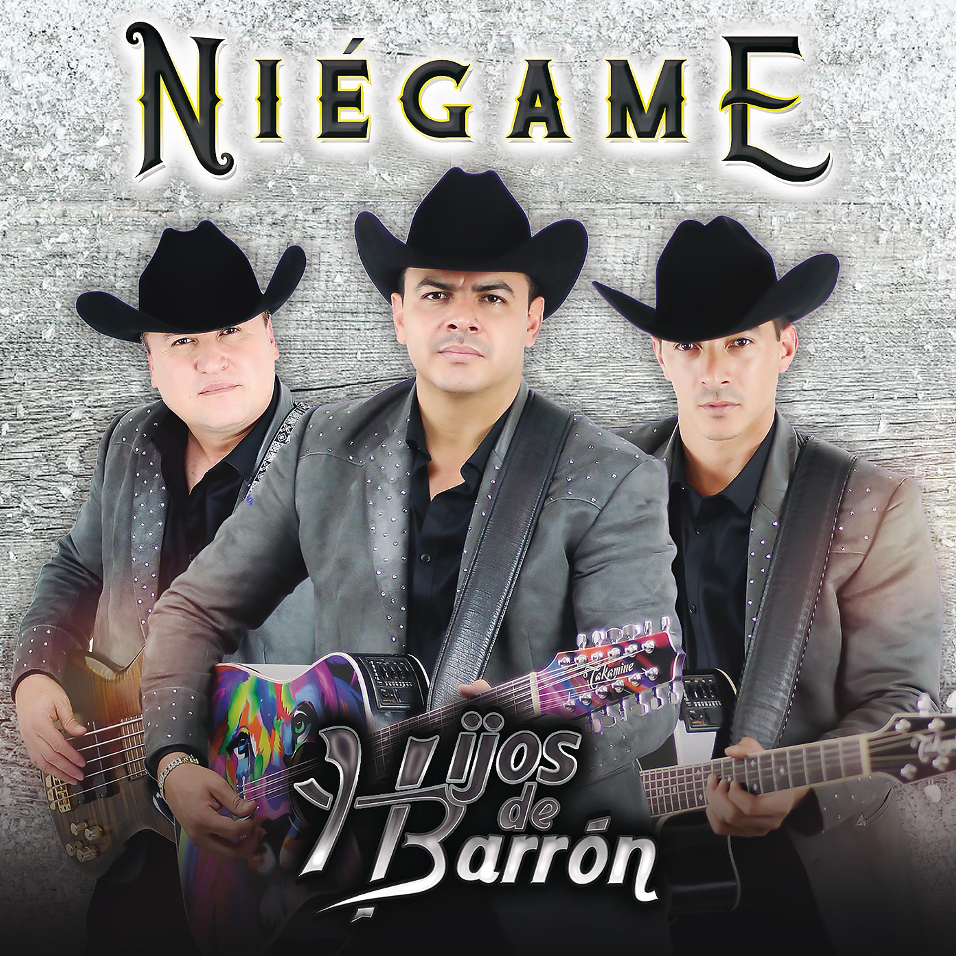 Постер альбома Niégame