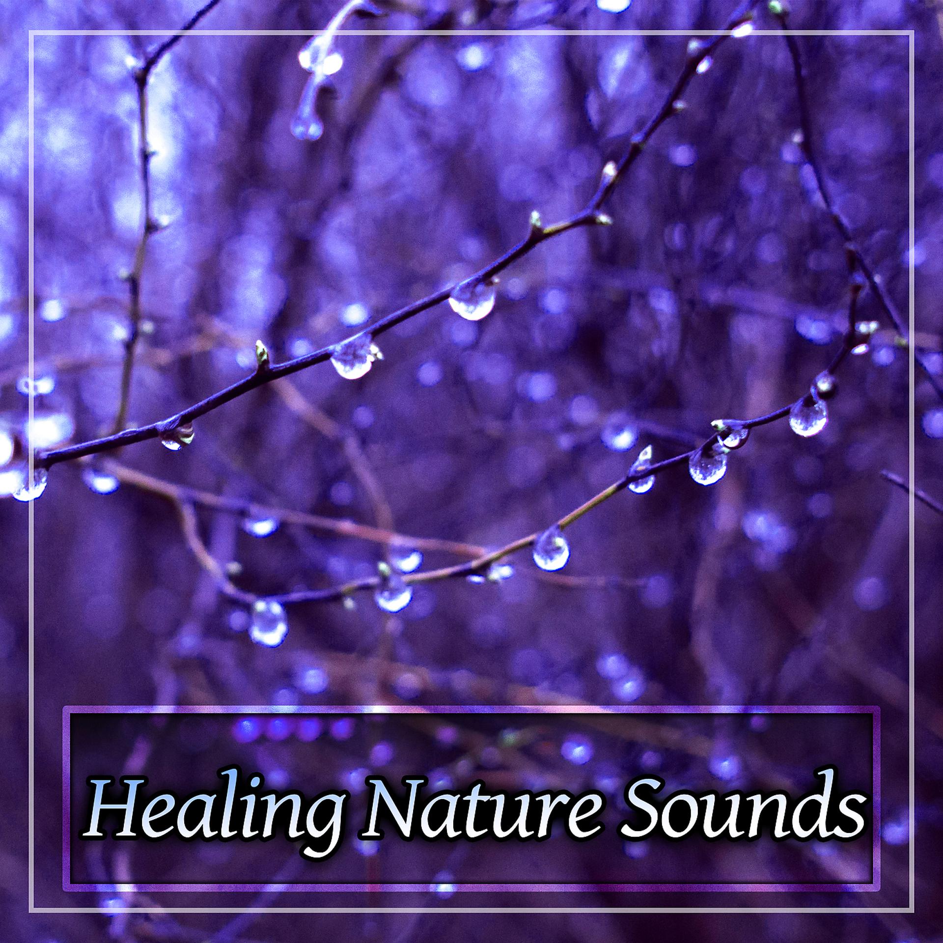 Постер альбома Healing Nature Sounds – New Age Music Full of Peaceful Nature Sounds, Relaxing Music, Relax Yourself