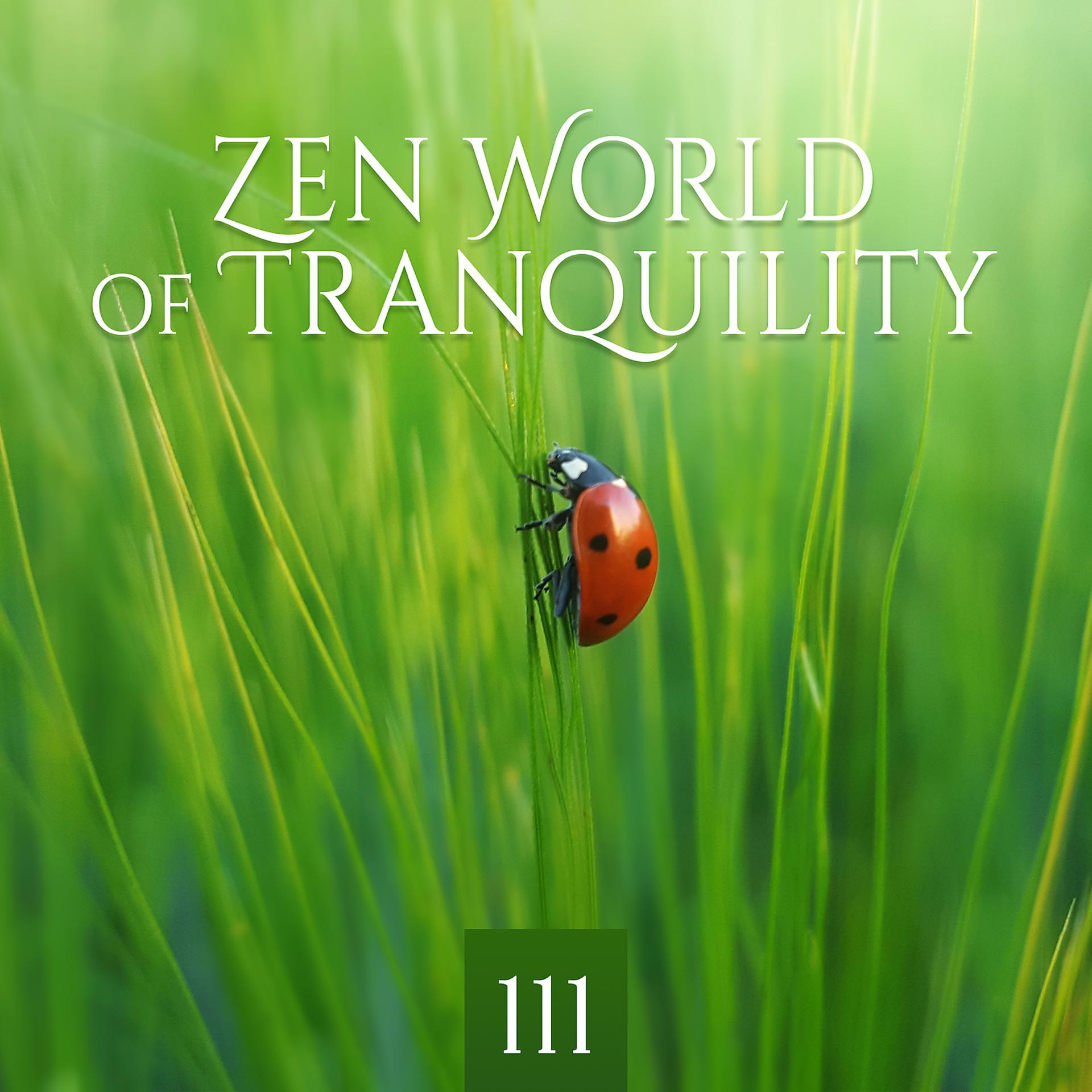 Постер альбома Zen World of Tranquility: 111 Relaxation Music with Nature for Inner Peace and Harmony, Therapy for Deep Sleep, Mindfulness Meditation and Yoga