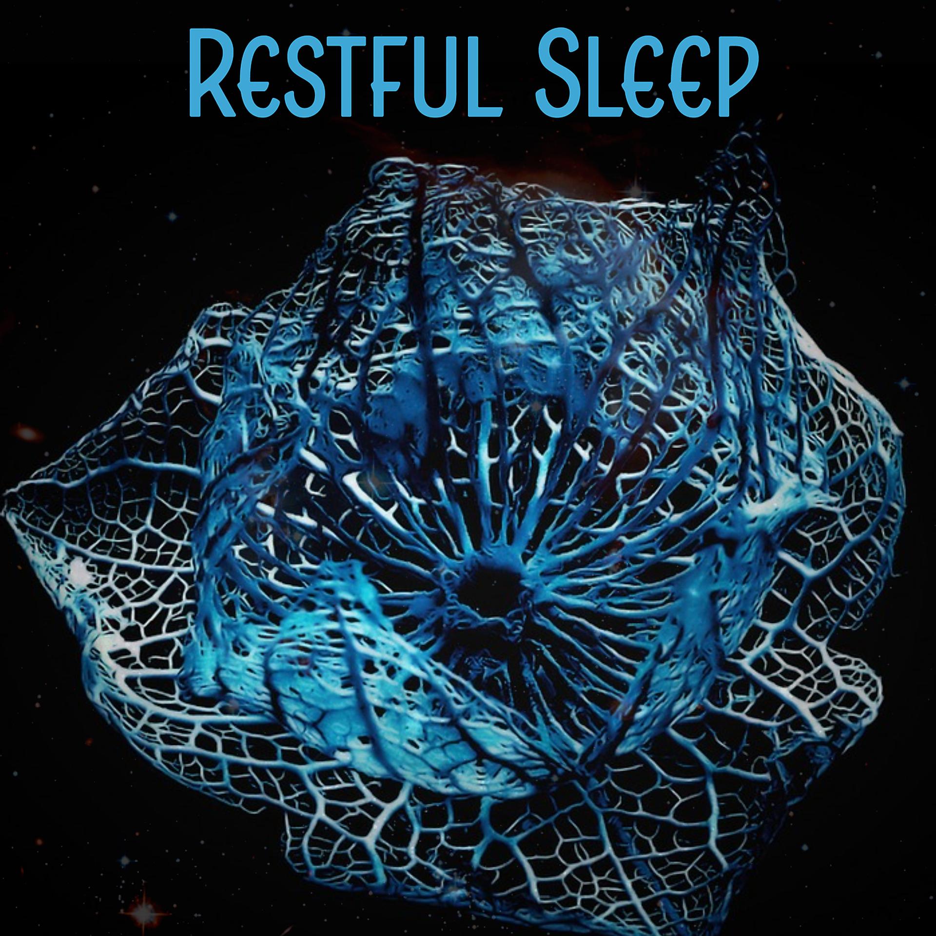 Постер альбома Restful Sleep – Relaxing Music for Good Sleep, Sleep Deeply, Peaceful Nature Sounds, Relaxing Music, Deep Sleep, Meditation, New Age Music, Stress Relief