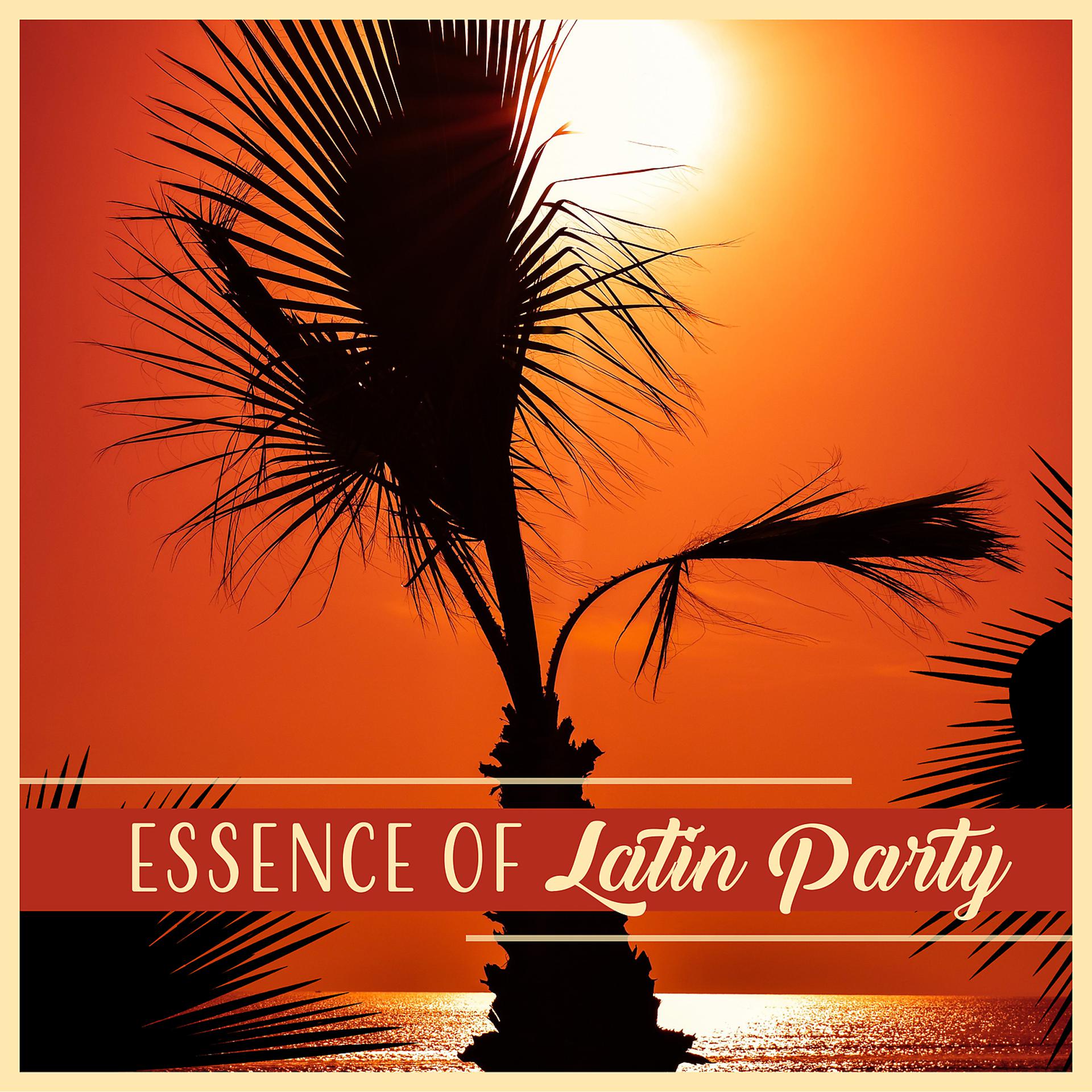 Постер альбома Essence of Latin Party
