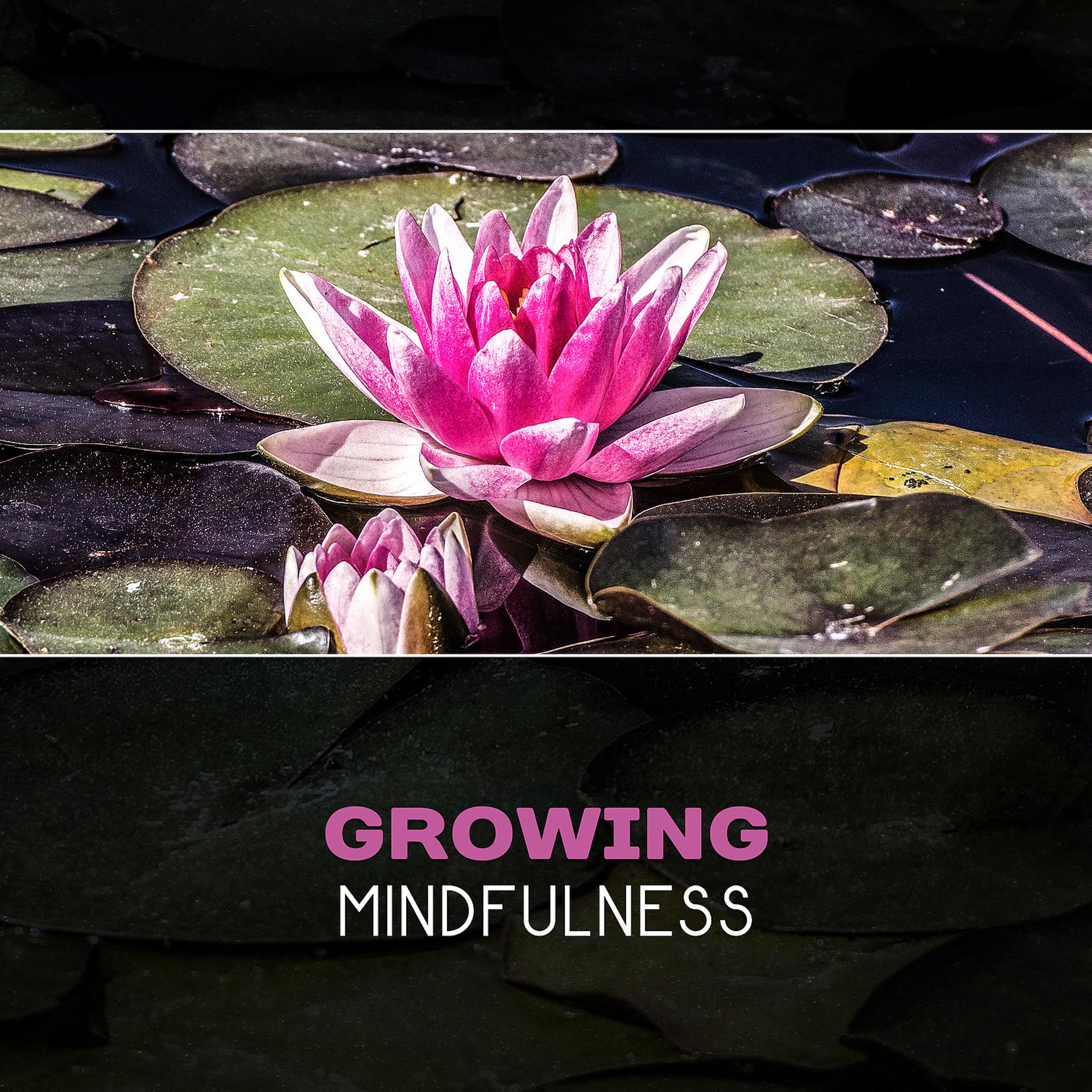 Постер альбома Growing Mindfulness - Along the Sacred Path