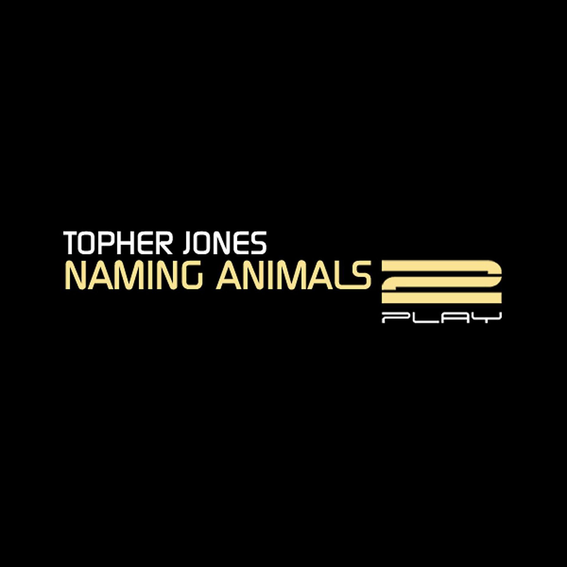 Постер альбома Naming Animals / Amalgamation