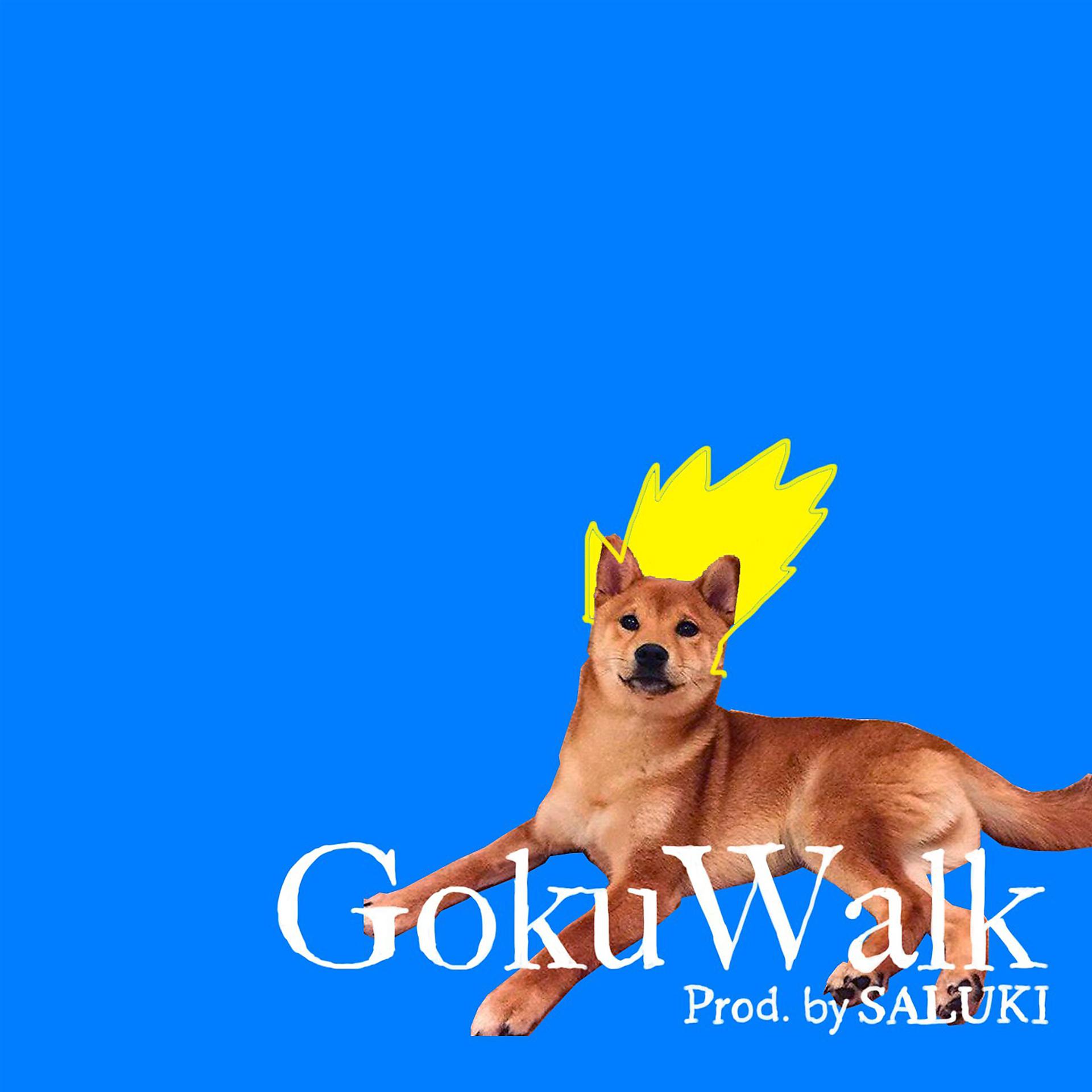 Постер альбома Goku Walk