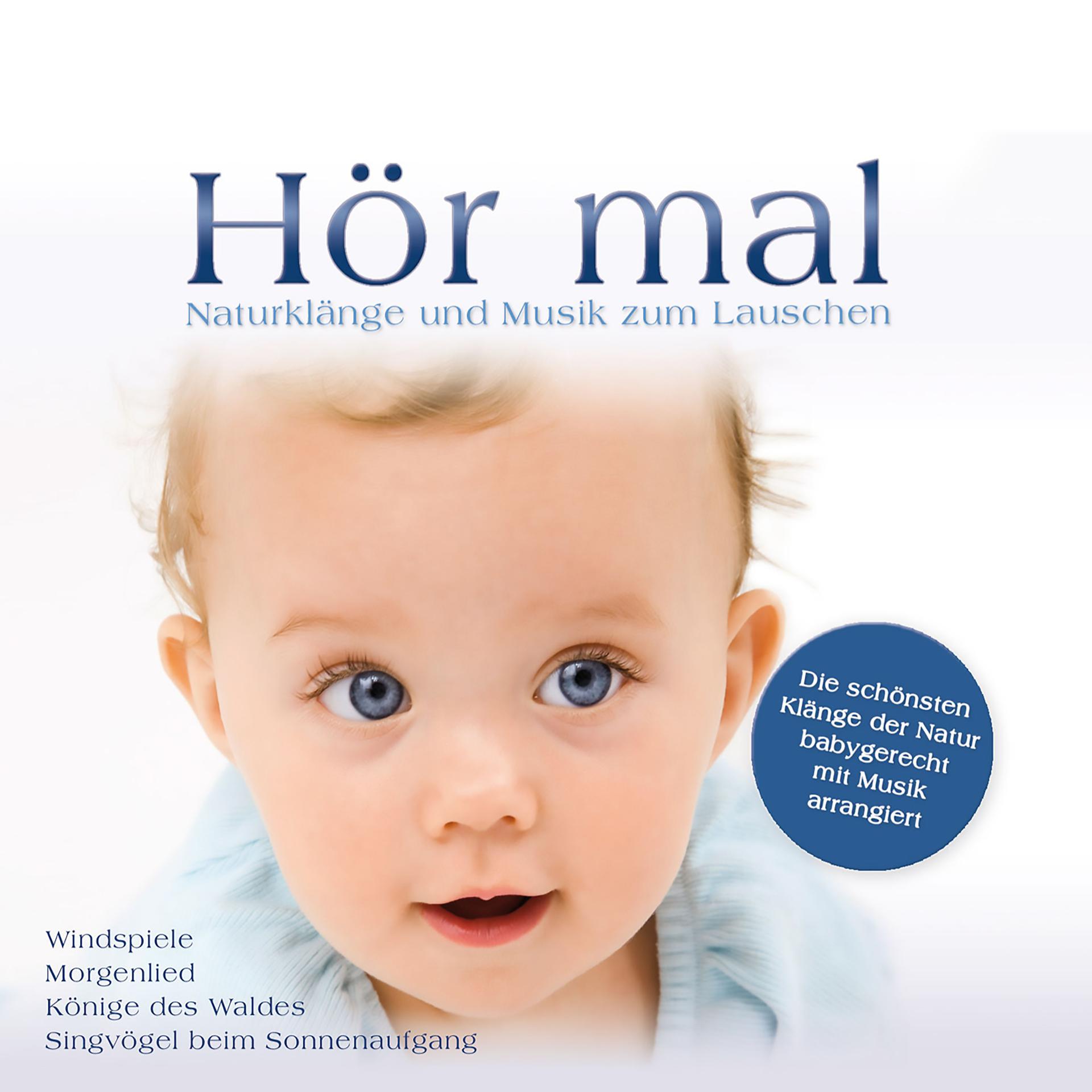Постер альбома Hör mal / Naturklänge und Musik zum Lauschen