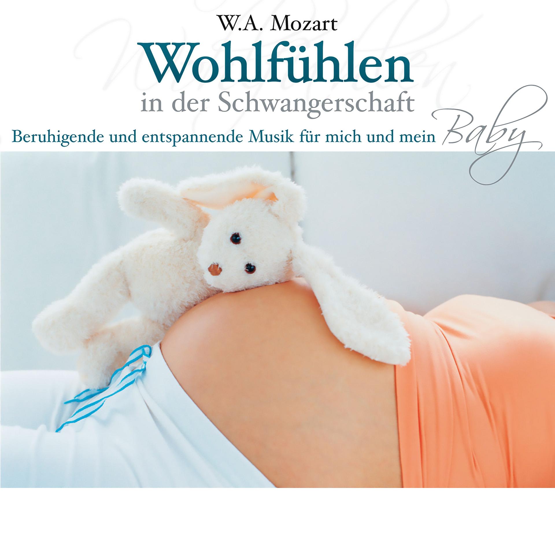 Постер альбома Mozart: Wohlfühlen in der Schwangerschaft - Beruhigende und entspannende Musik für mich und mein Baby