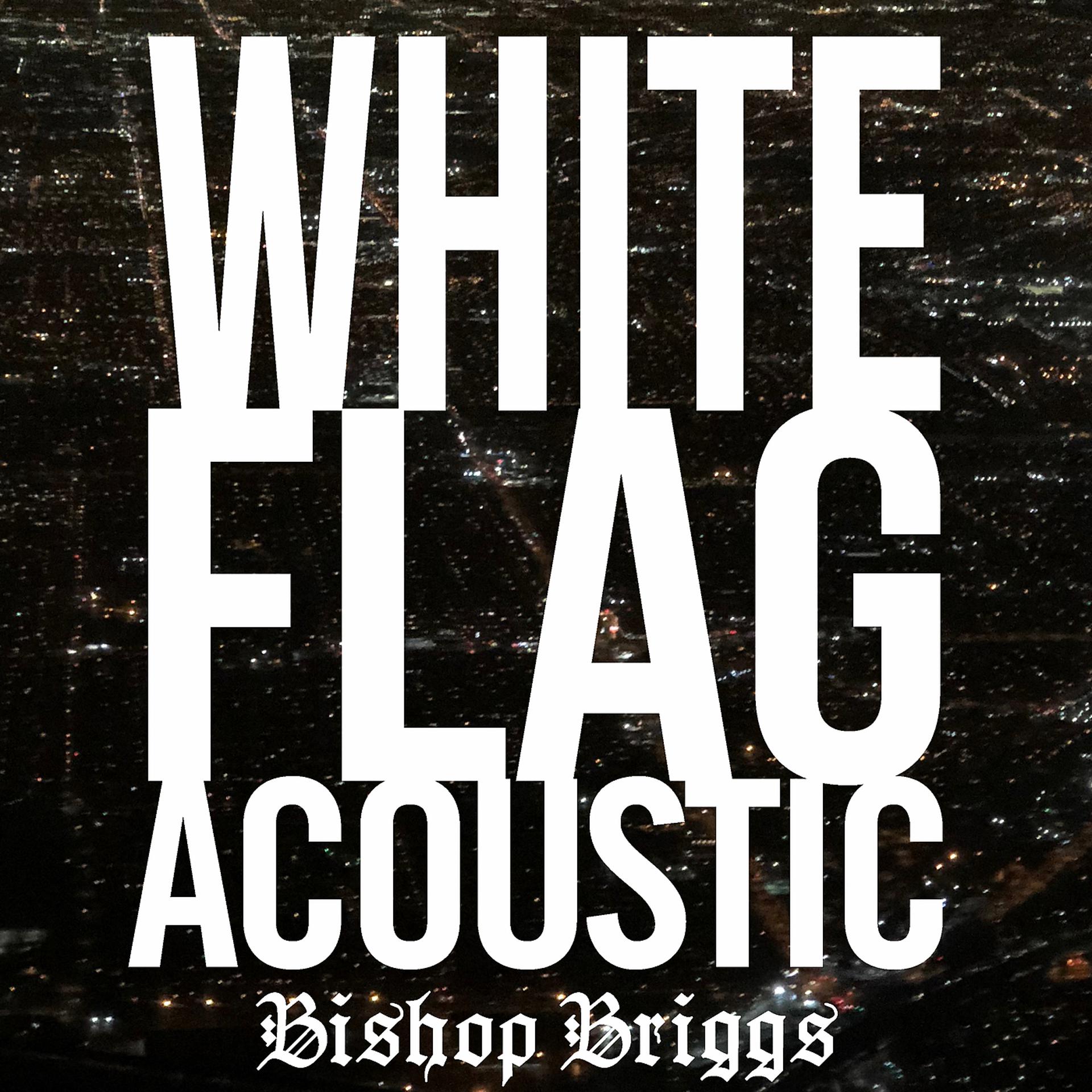 Постер альбома White Flag