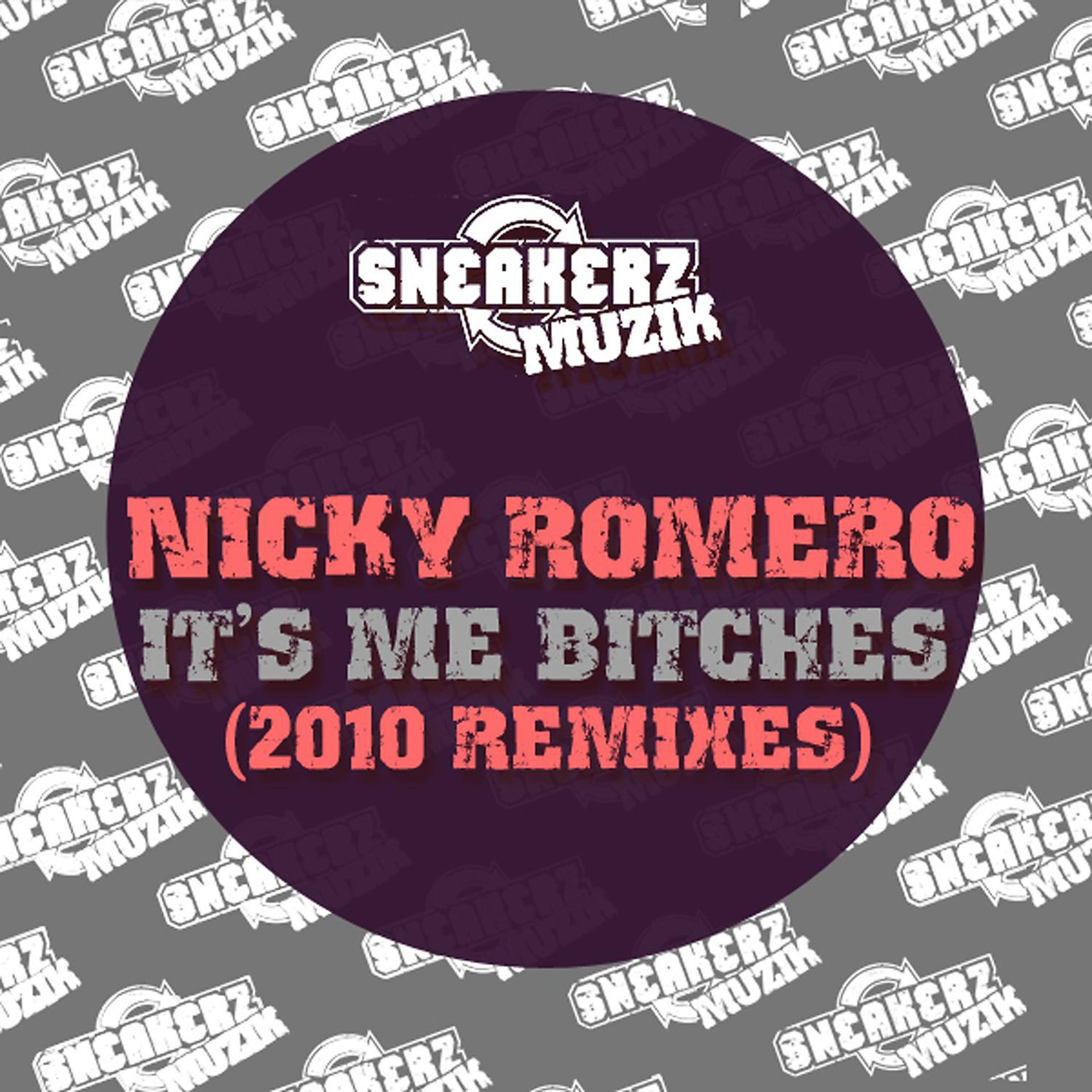 Постер альбома Nicky It's Me Bitches (2010 Remixes)