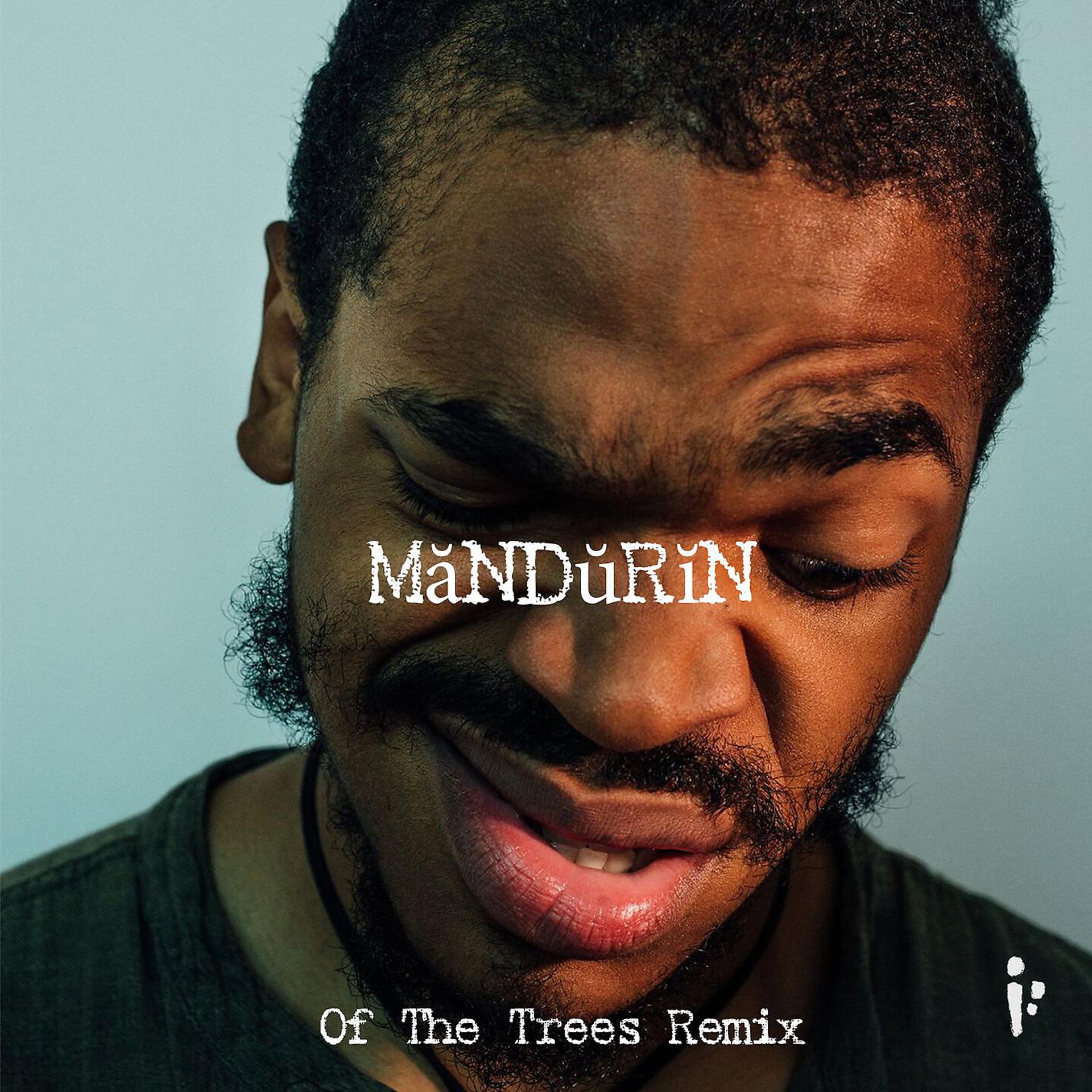 Постер альбома MăNDŭRĭN (Of The Trees Remix)