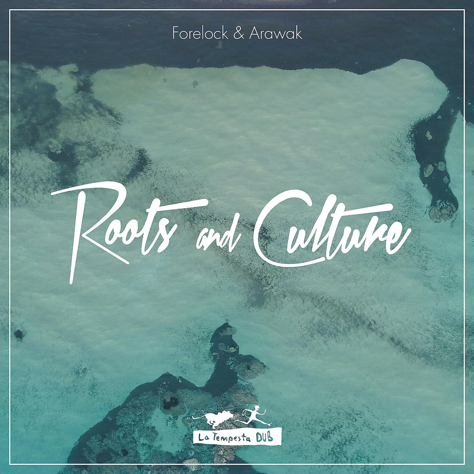 Постер альбома Roots and Culture