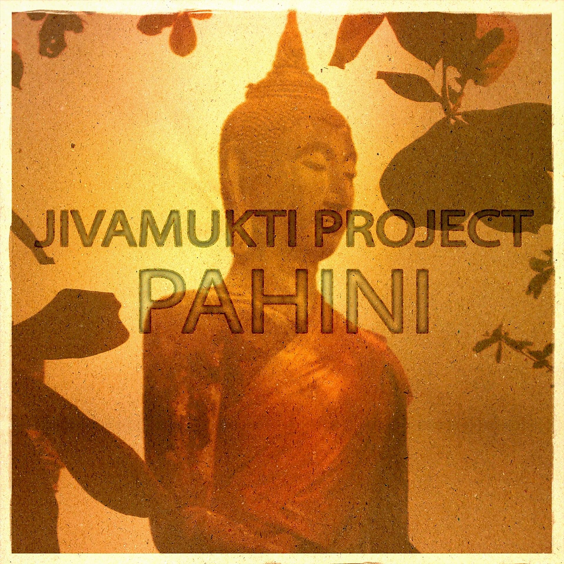 Постер альбома Pahini