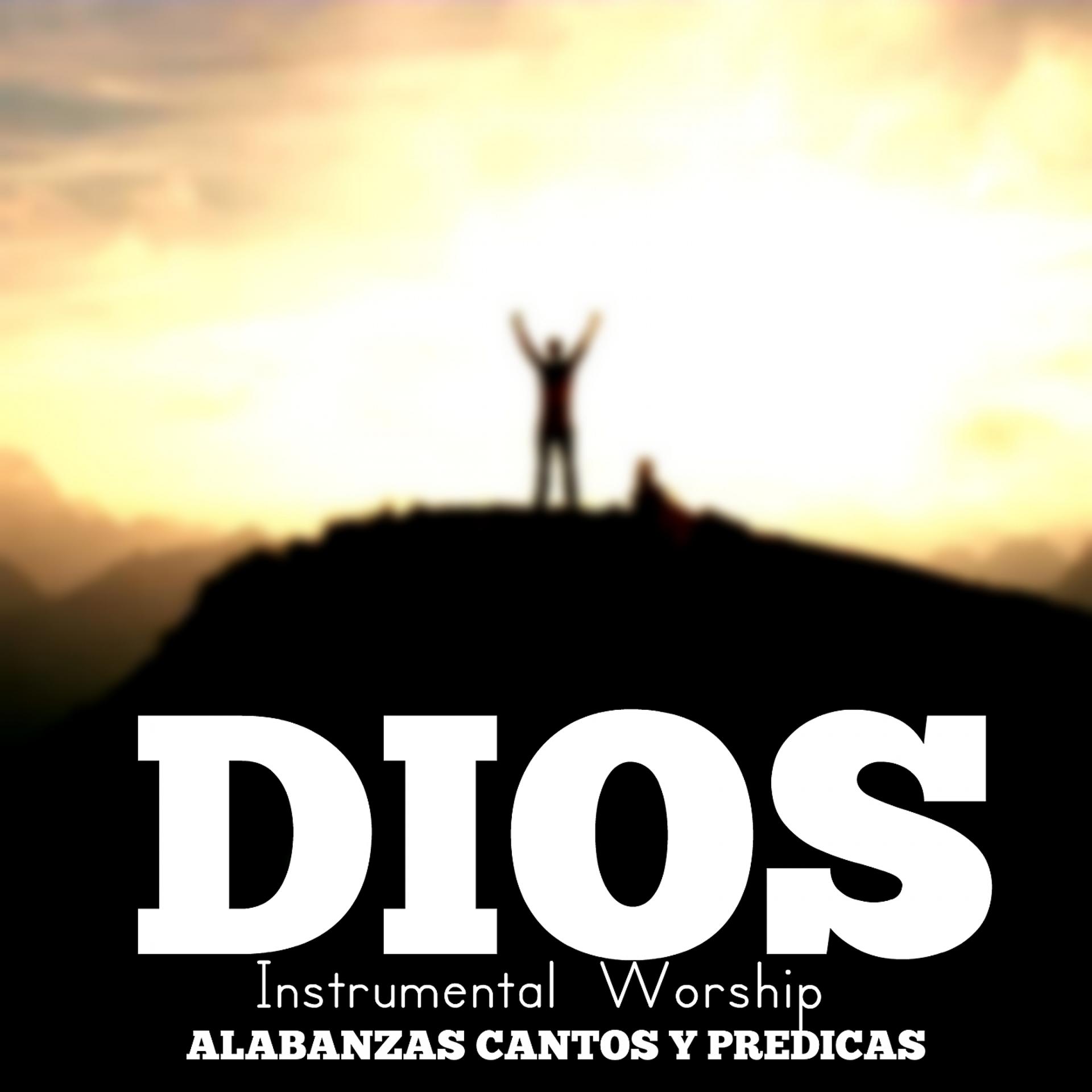 Постер альбома Dios