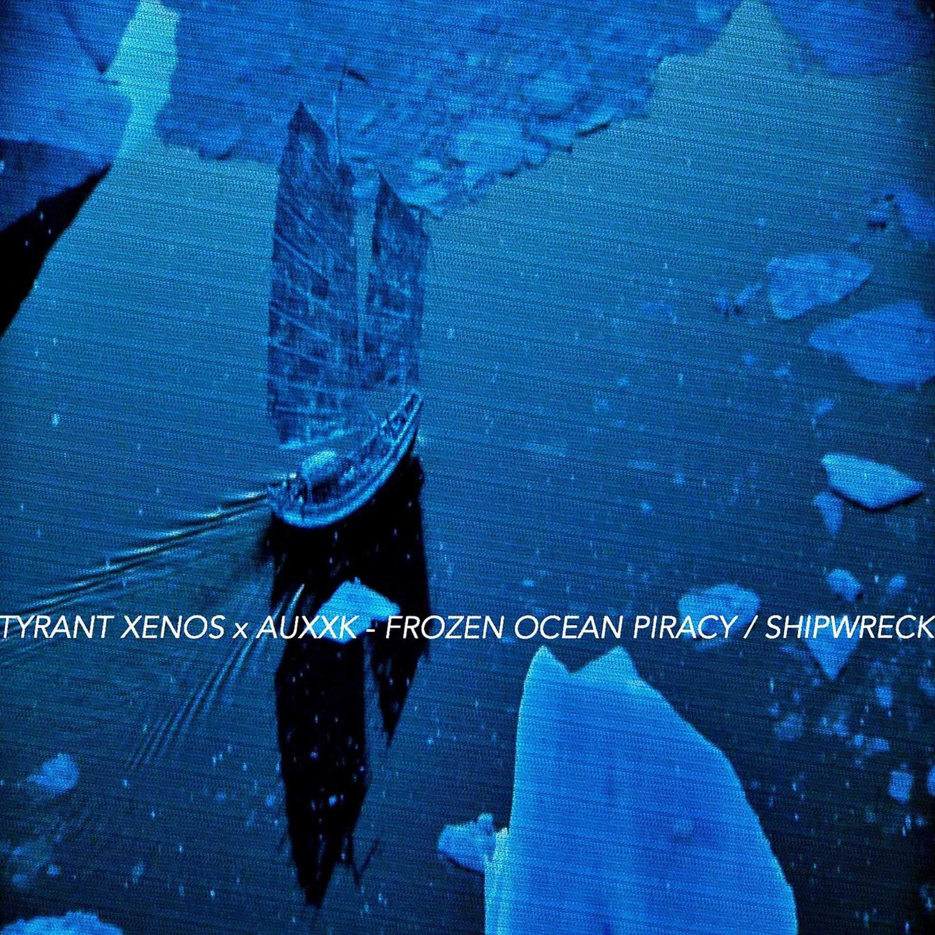 Постер альбома Frozen Ocean Piracy / Shipwreck (feat. Auxxk)