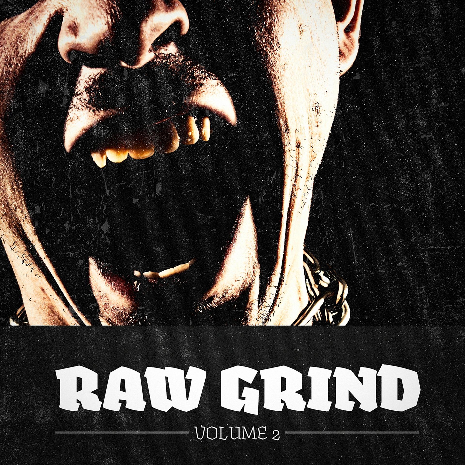 Постер альбома Raw Grind, Vol. 2 (A Selection of Punk, Hardcore & Metal Music)