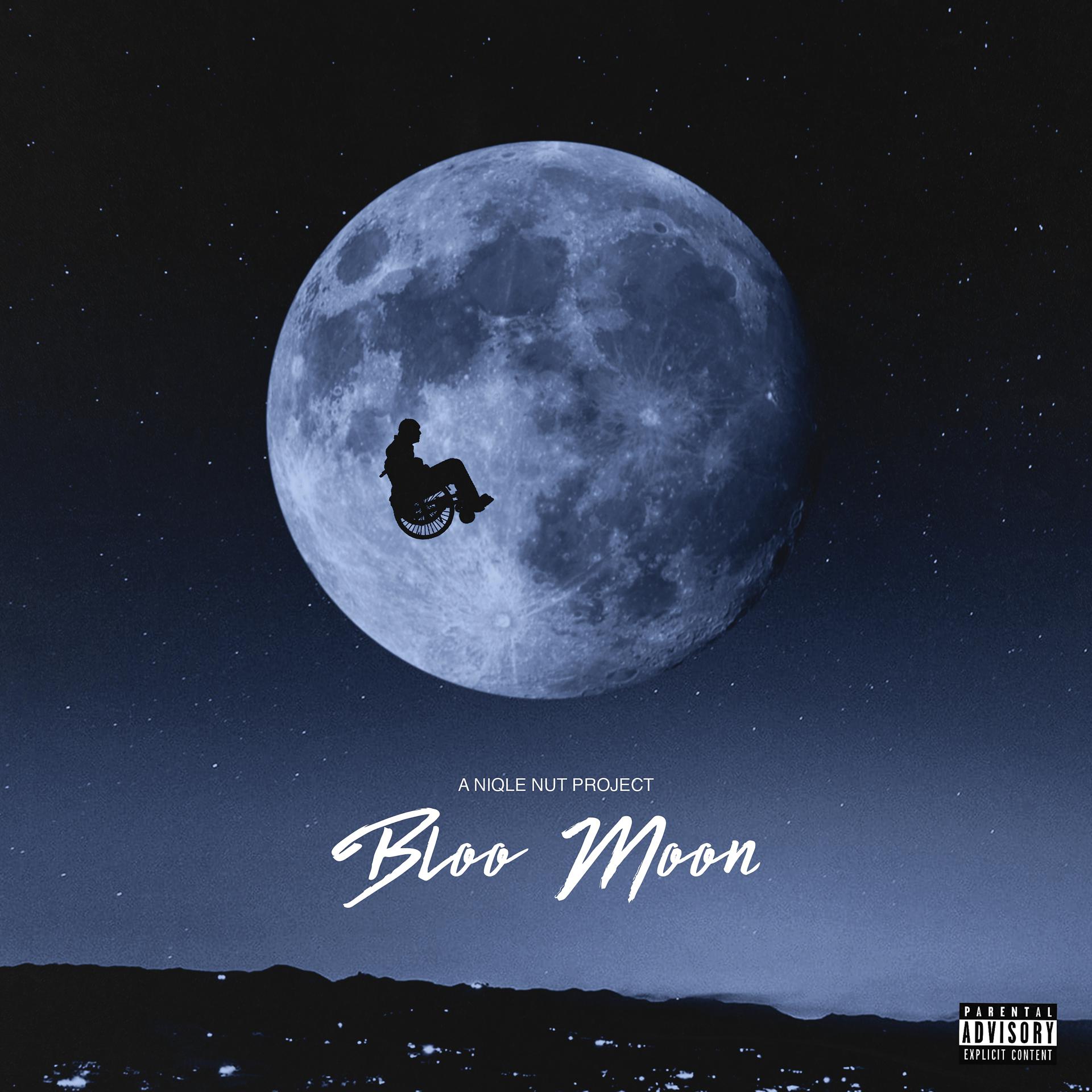 Постер альбома Bloo Moon
