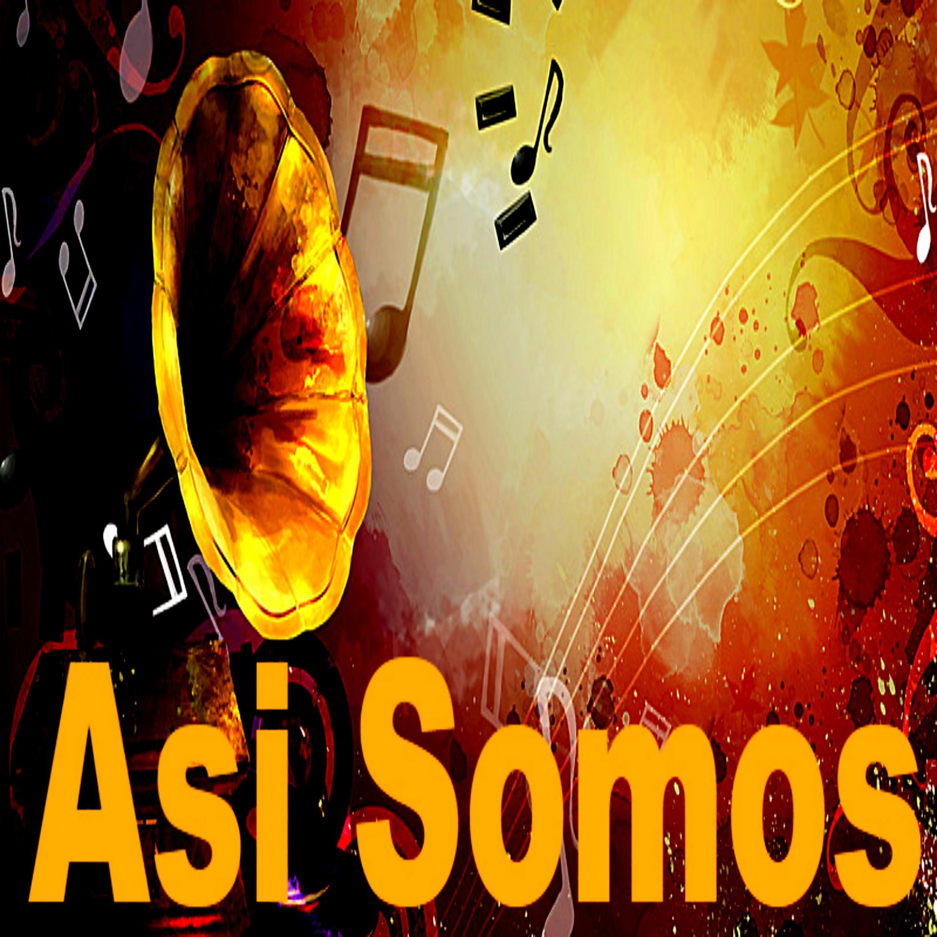 Постер альбома Así Somos