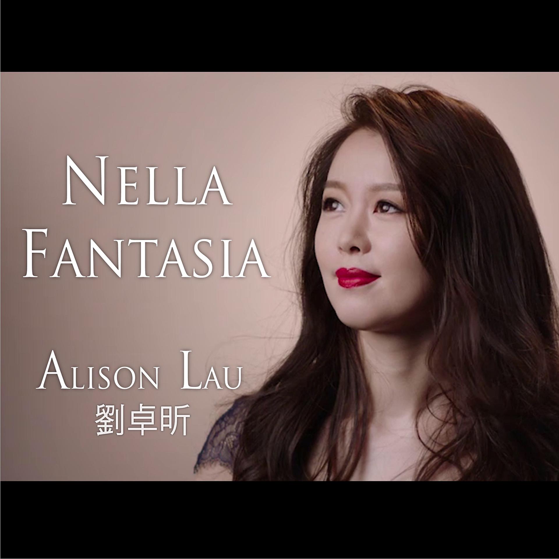 Постер альбома Nella Fantasia