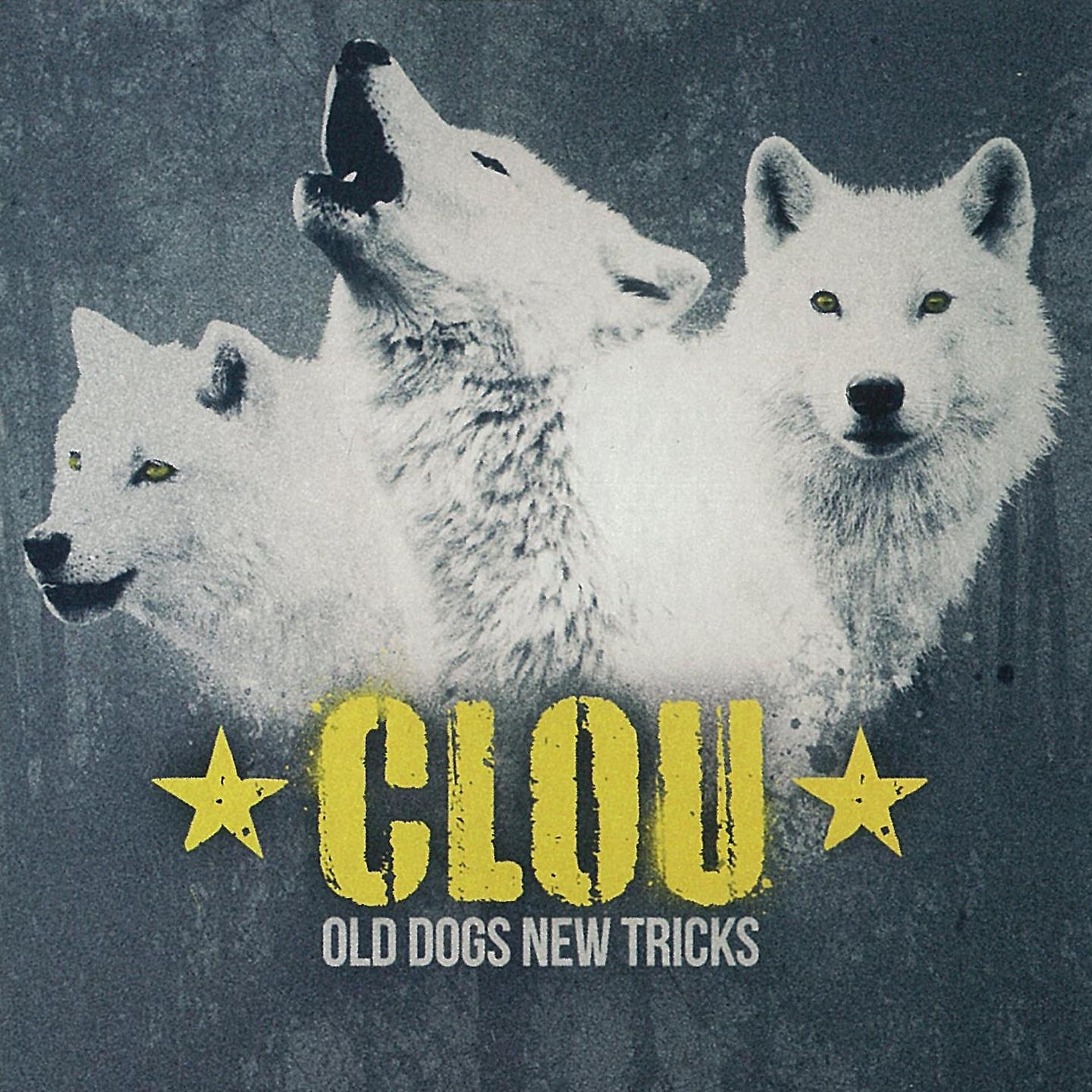 Постер альбома Old Dogs New Tricks