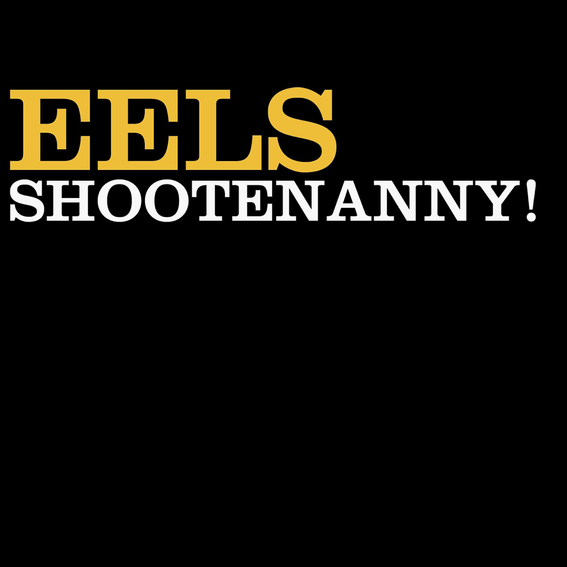 Постер альбома Shootenanny!