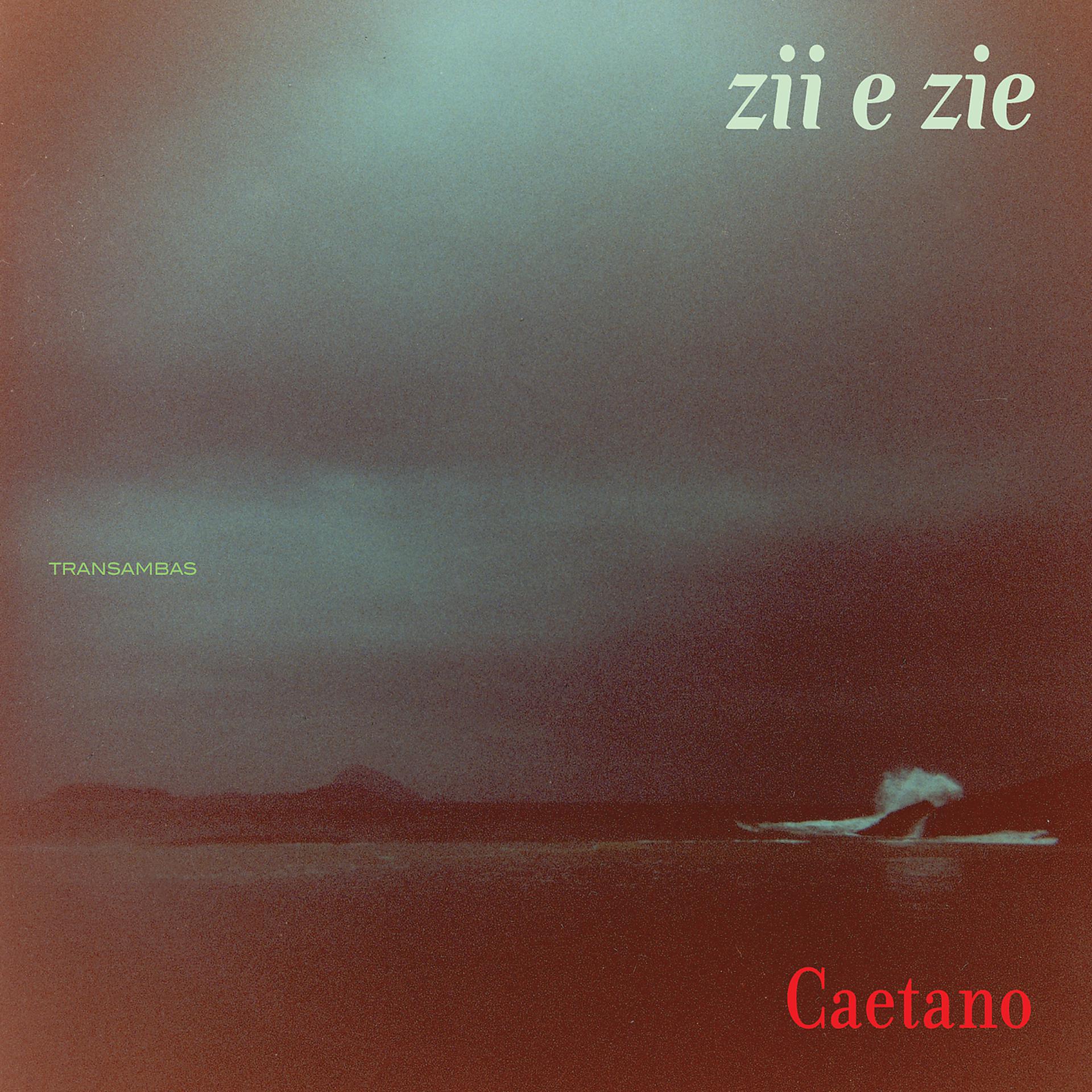 Постер альбома Zii & Zie