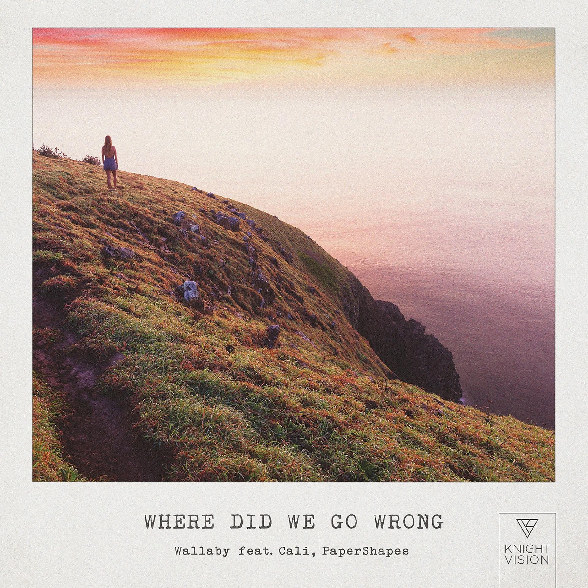 Постер альбома Where Did We Go Wrong (feat. Cali & PaperShapes)