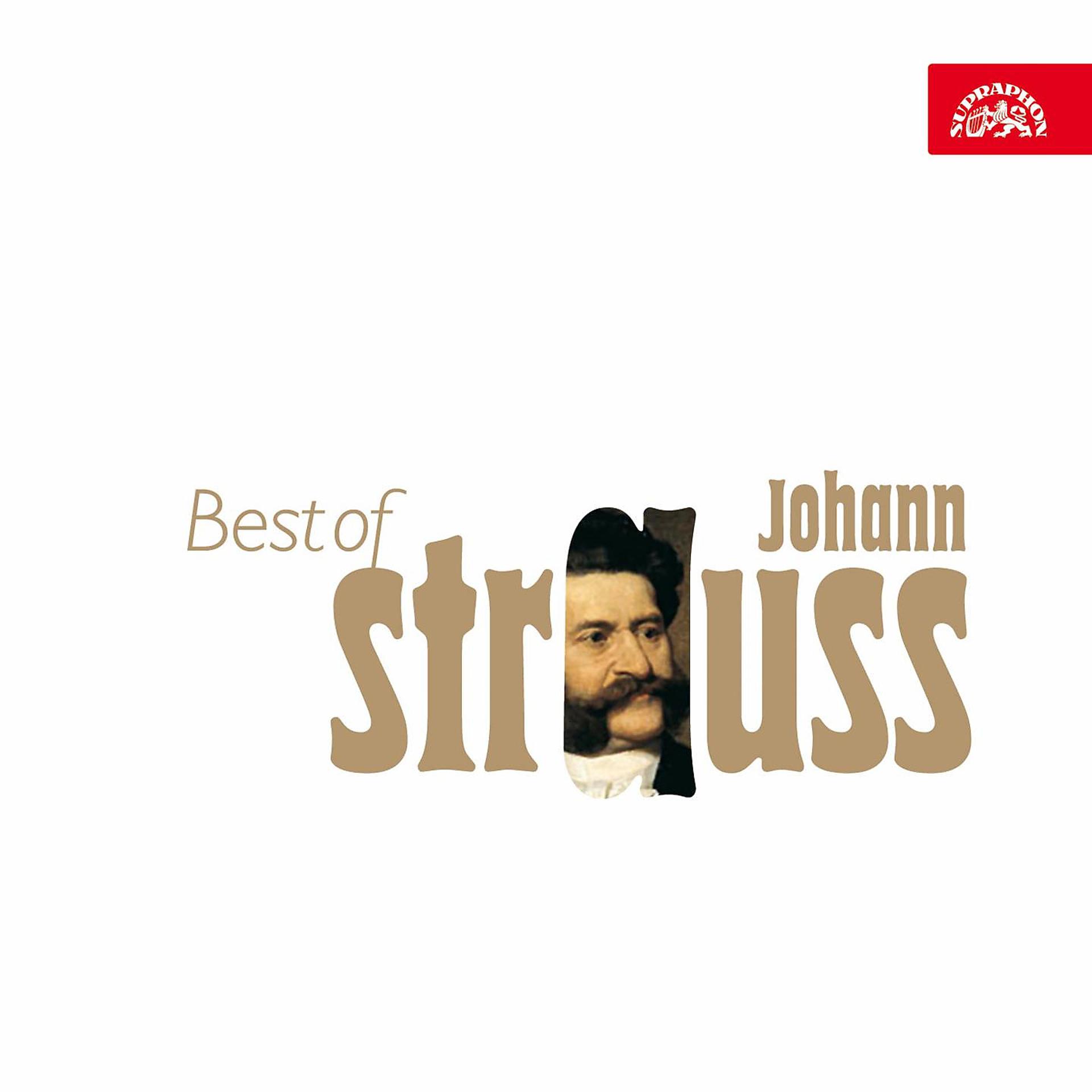 Постер альбома Strauss: Best of