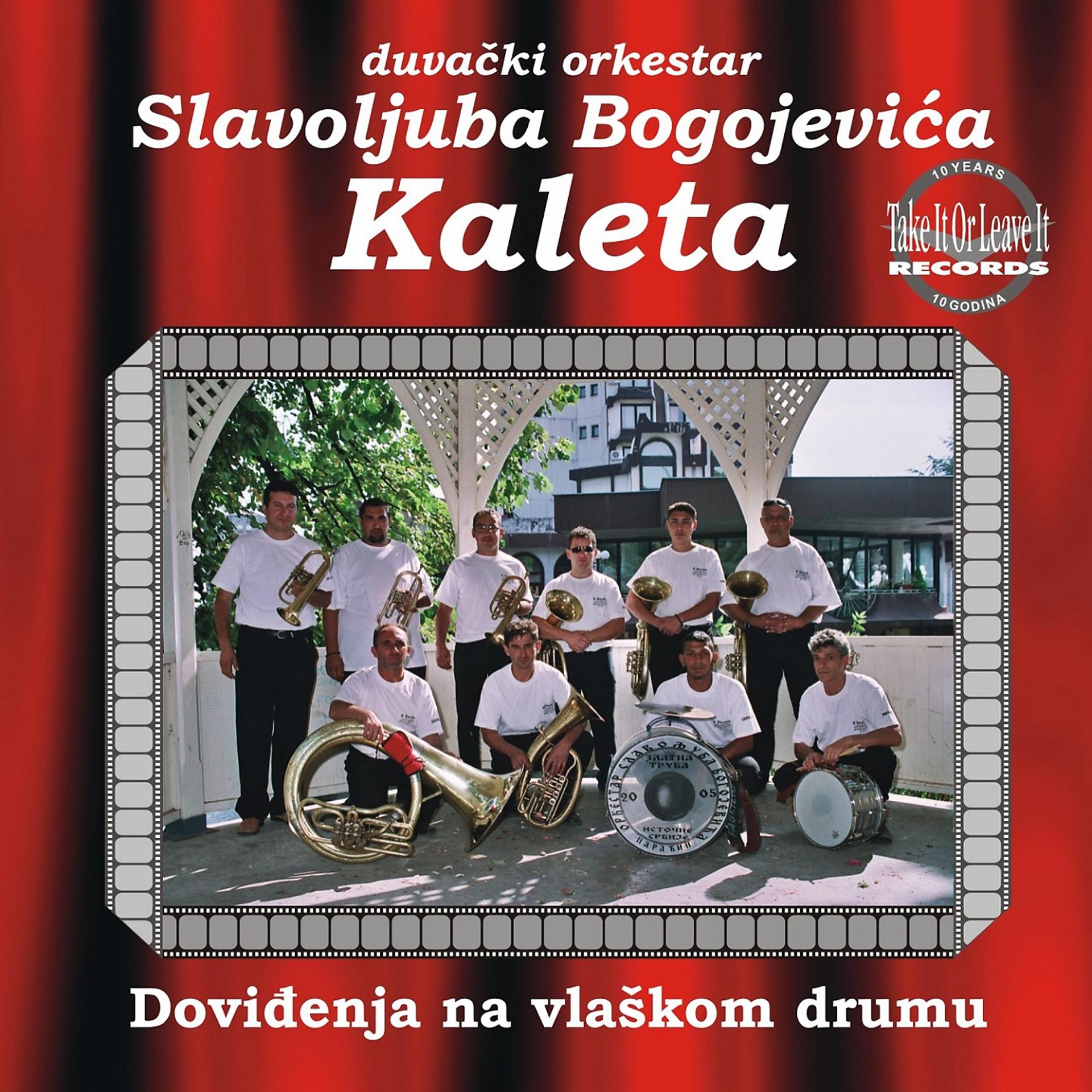 Постер альбома Dovidjenja na vlaskom drumu
