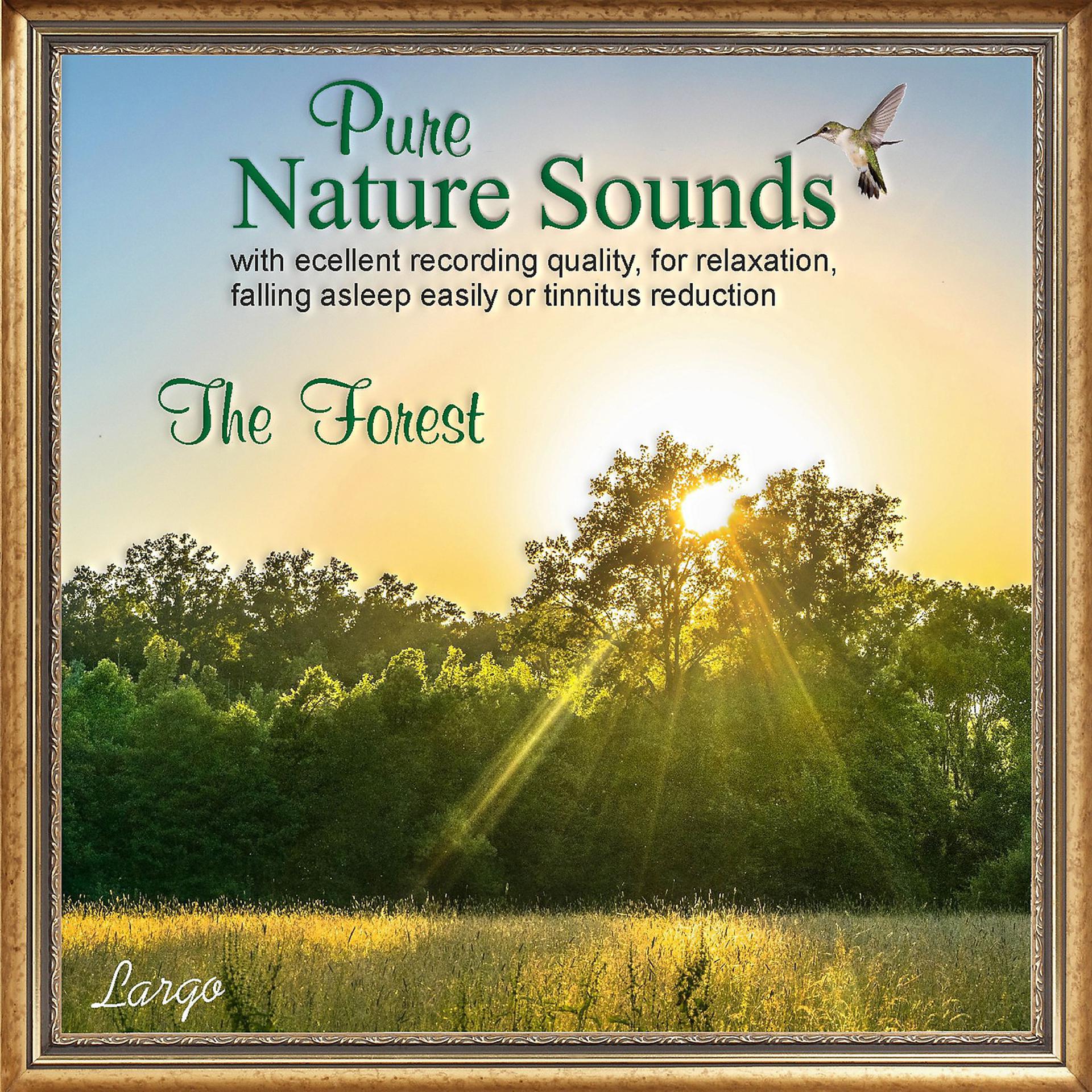 Постер альбома Pure Nature Sounds: The Forest