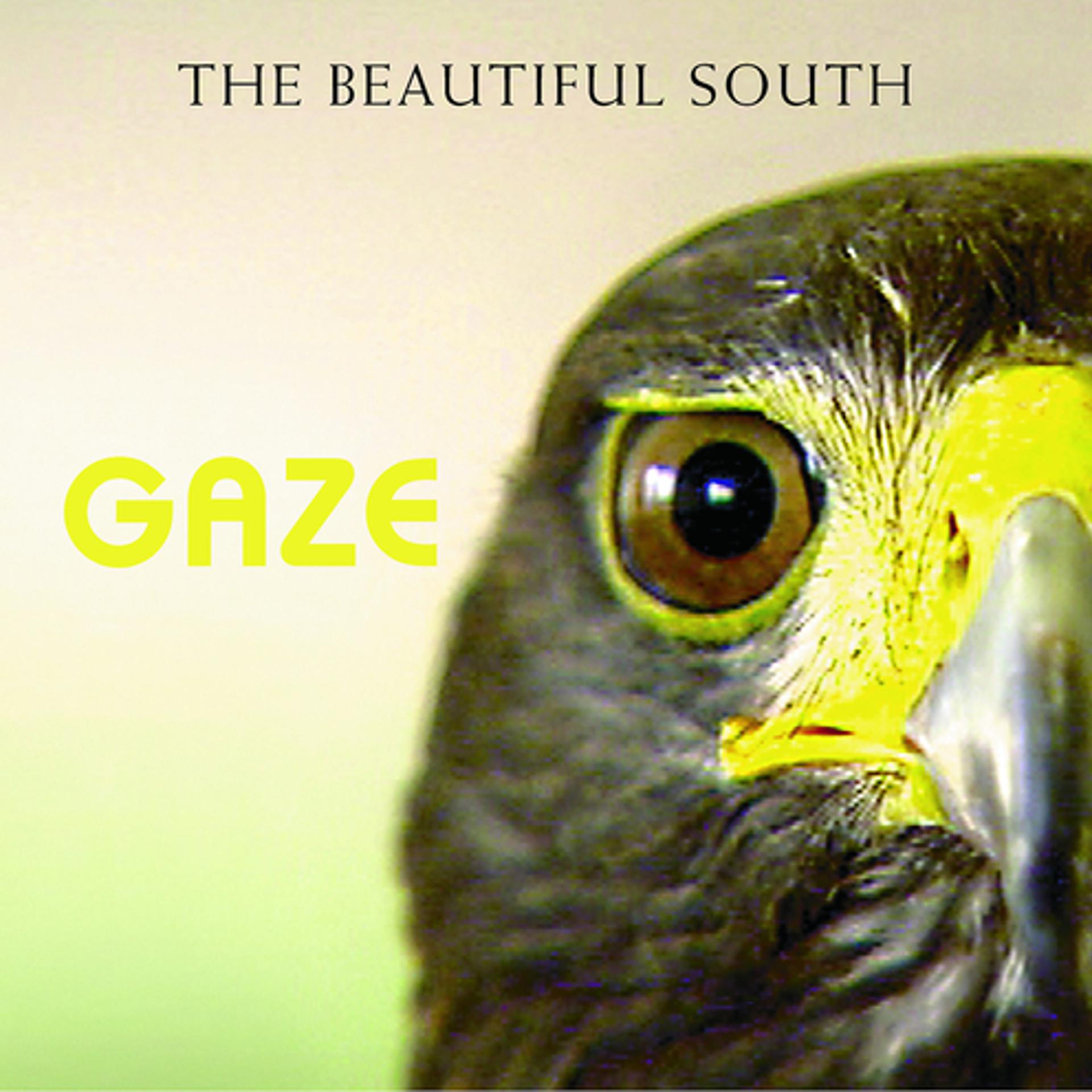 Постер альбома Gaze