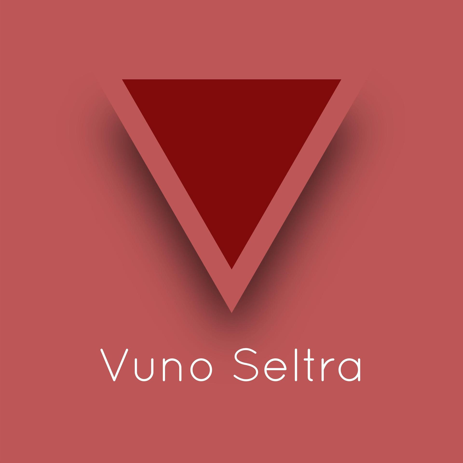 Постер альбома Vuno Seltra