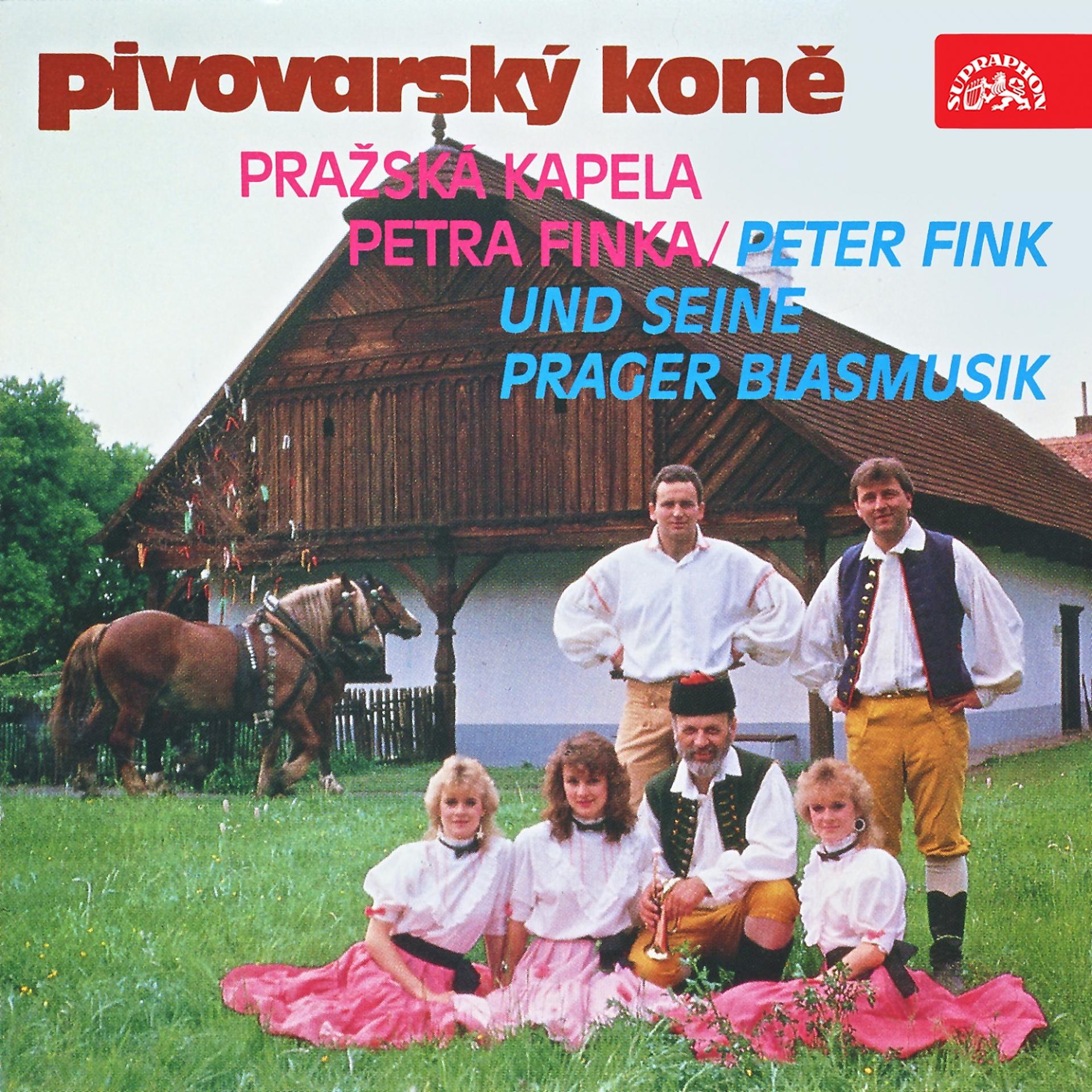 Постер альбома Pivovarský Koně