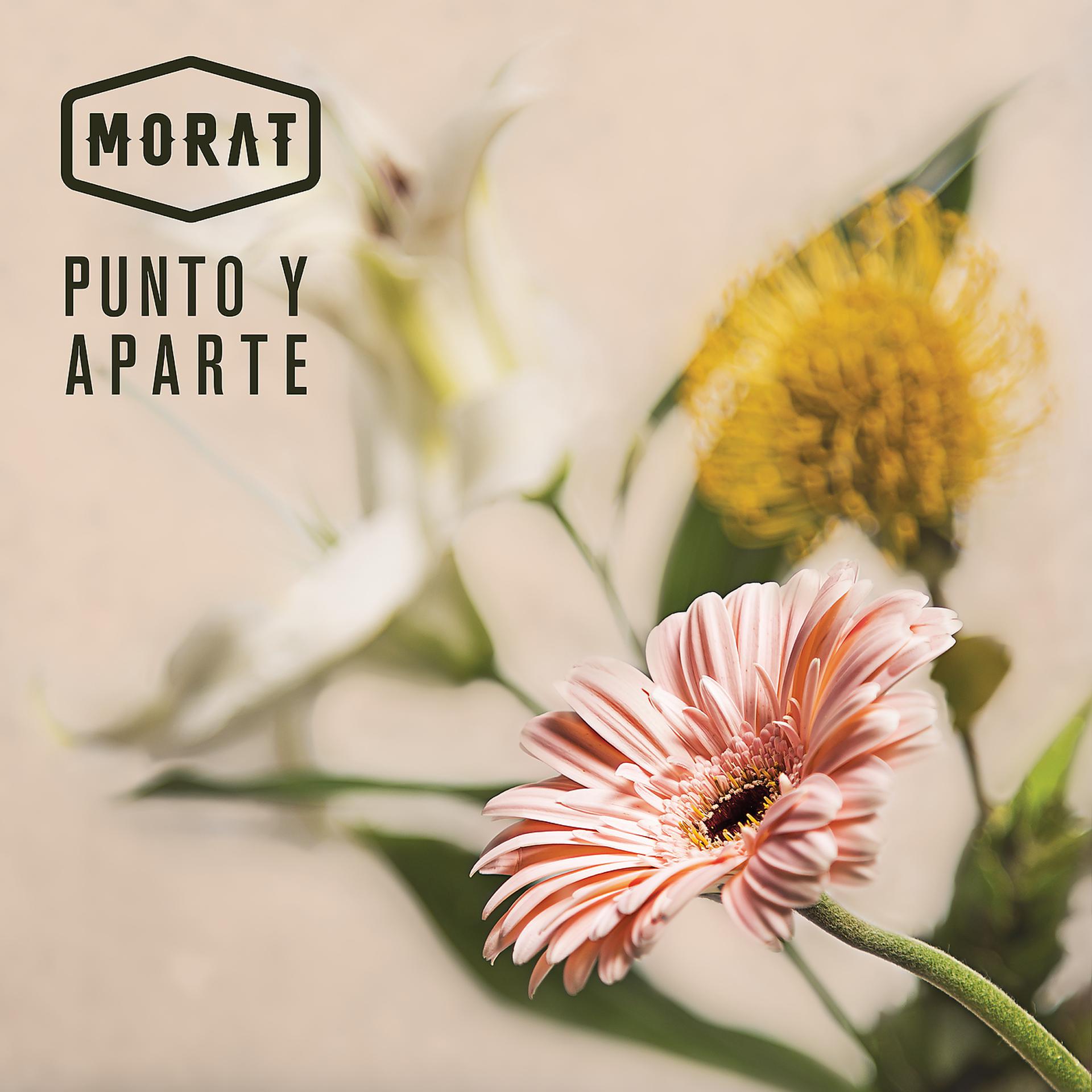 Постер альбома Punto Y Aparte