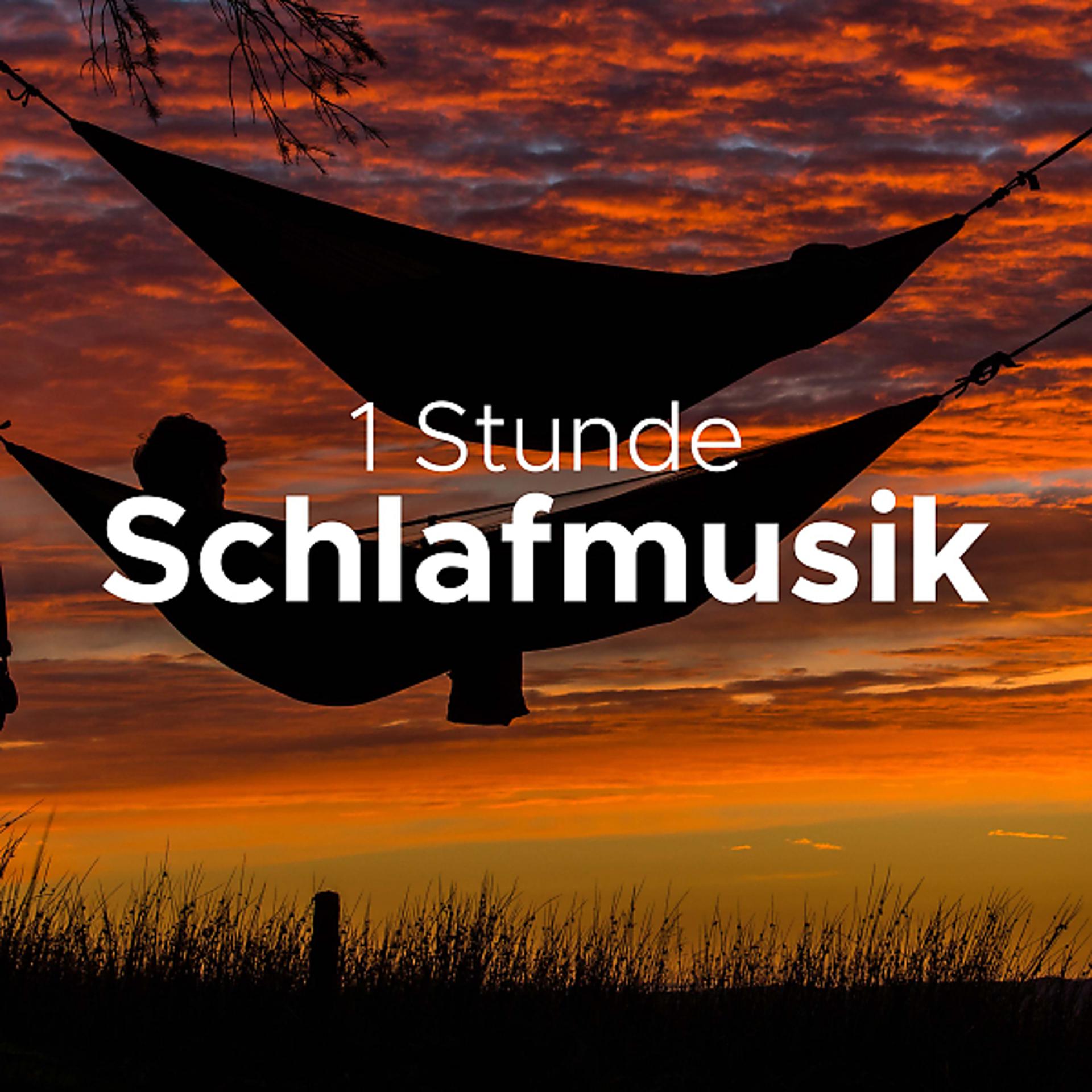 Постер альбома Schlafmusik: 1 Stunde Gesunder Schlaf, Musik zum Einschlafen Schlafen Entspannen
