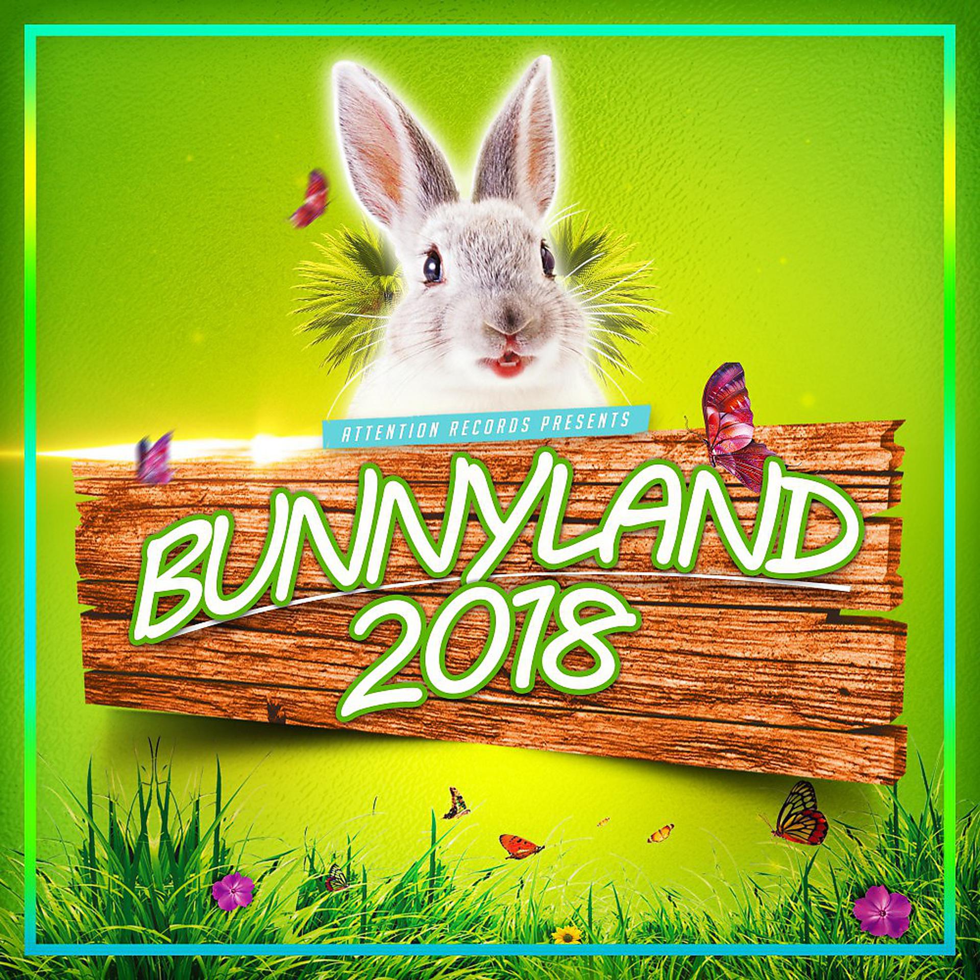 Постер альбома Bunnyland 2018