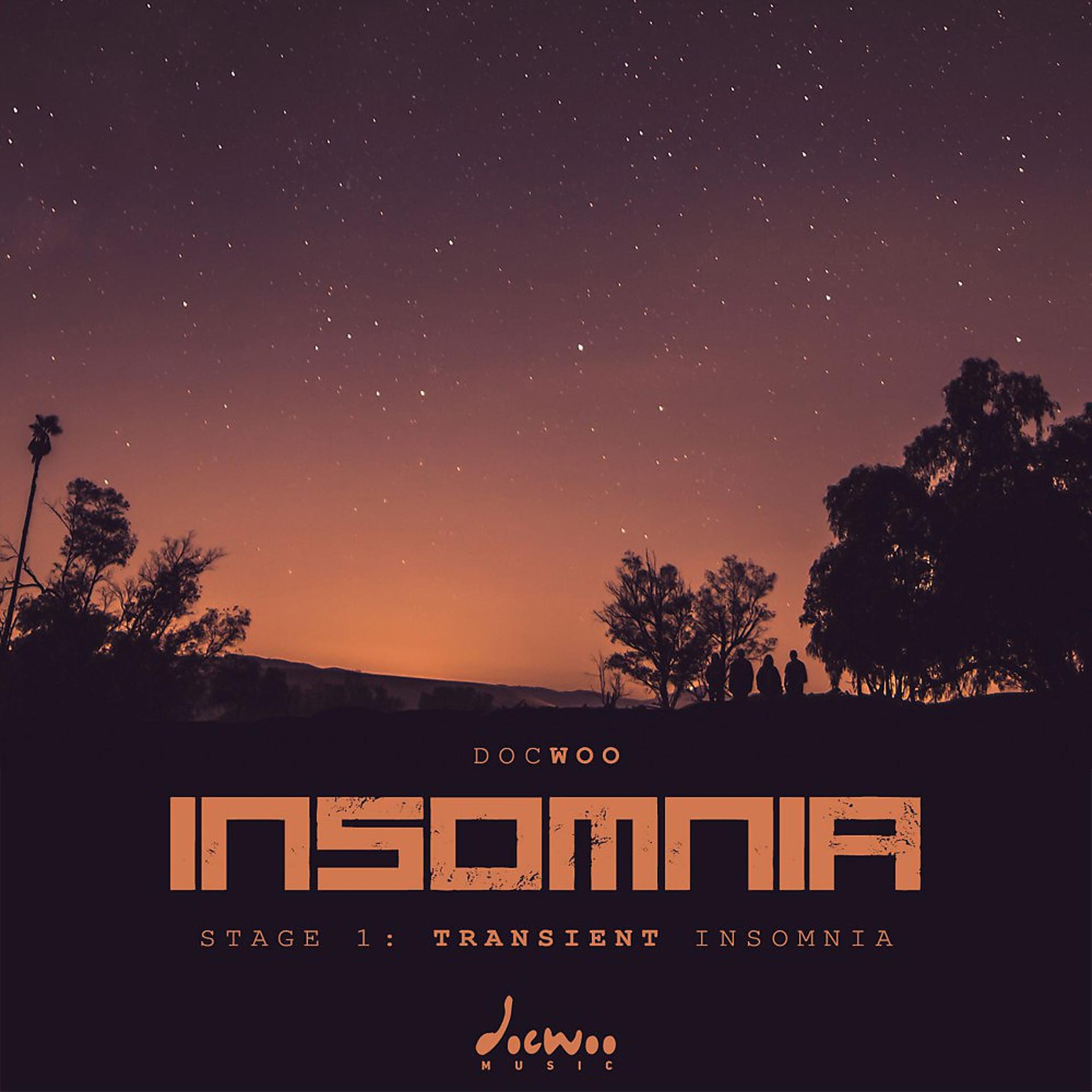 Постер альбома Insomnia: Stage 1 — Transient Insomnia