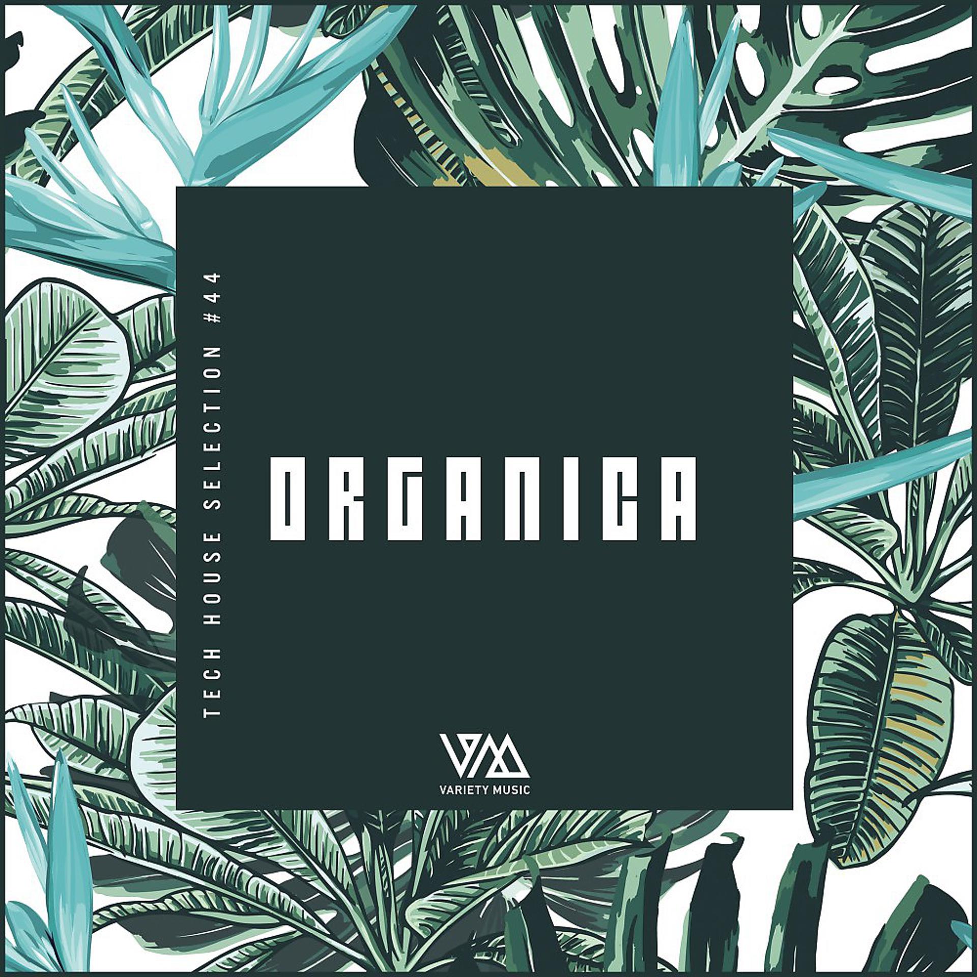 Постер альбома Organica #44