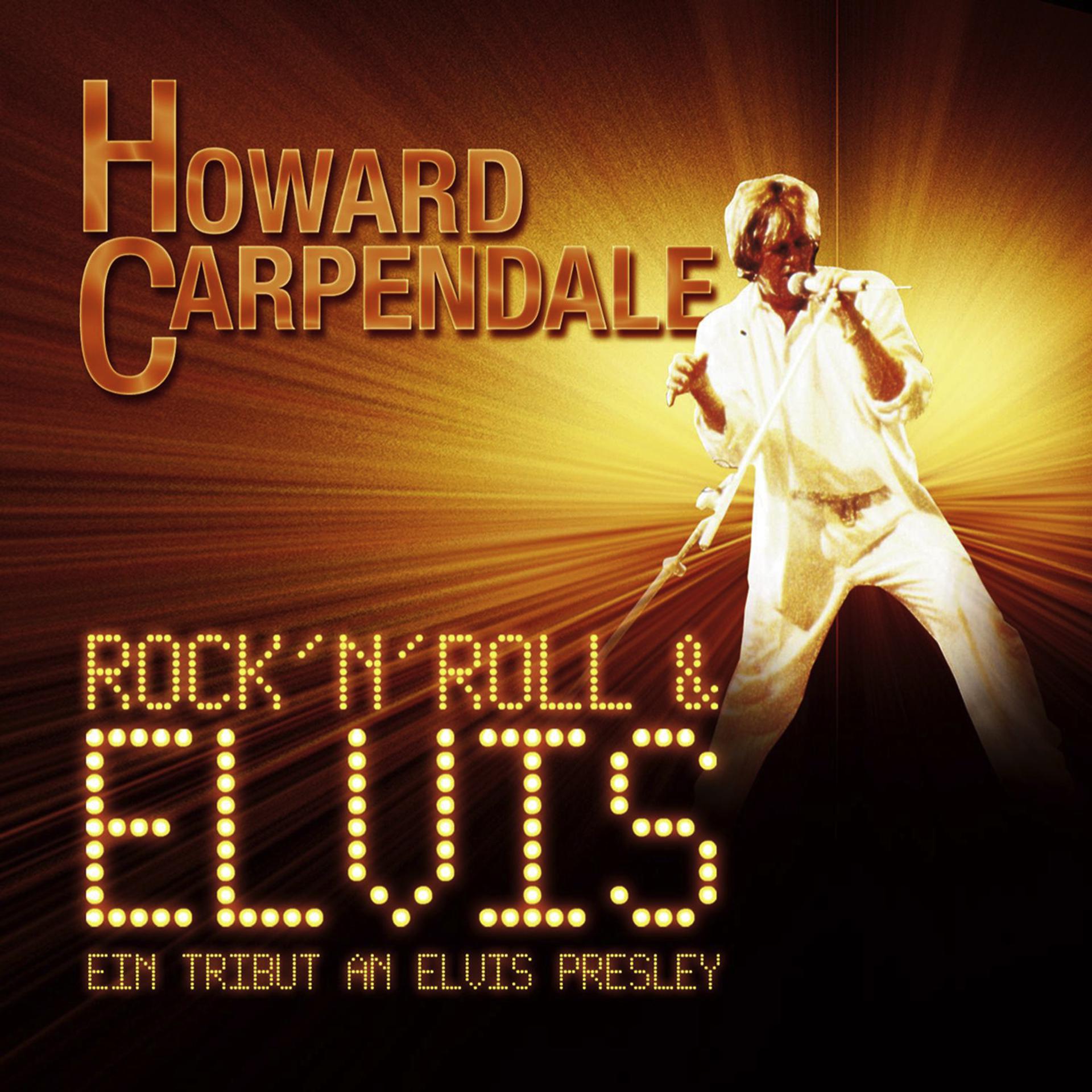 Постер альбома Rock 'n' Roll & Elvis - Ein Tribut An Elvis Presley