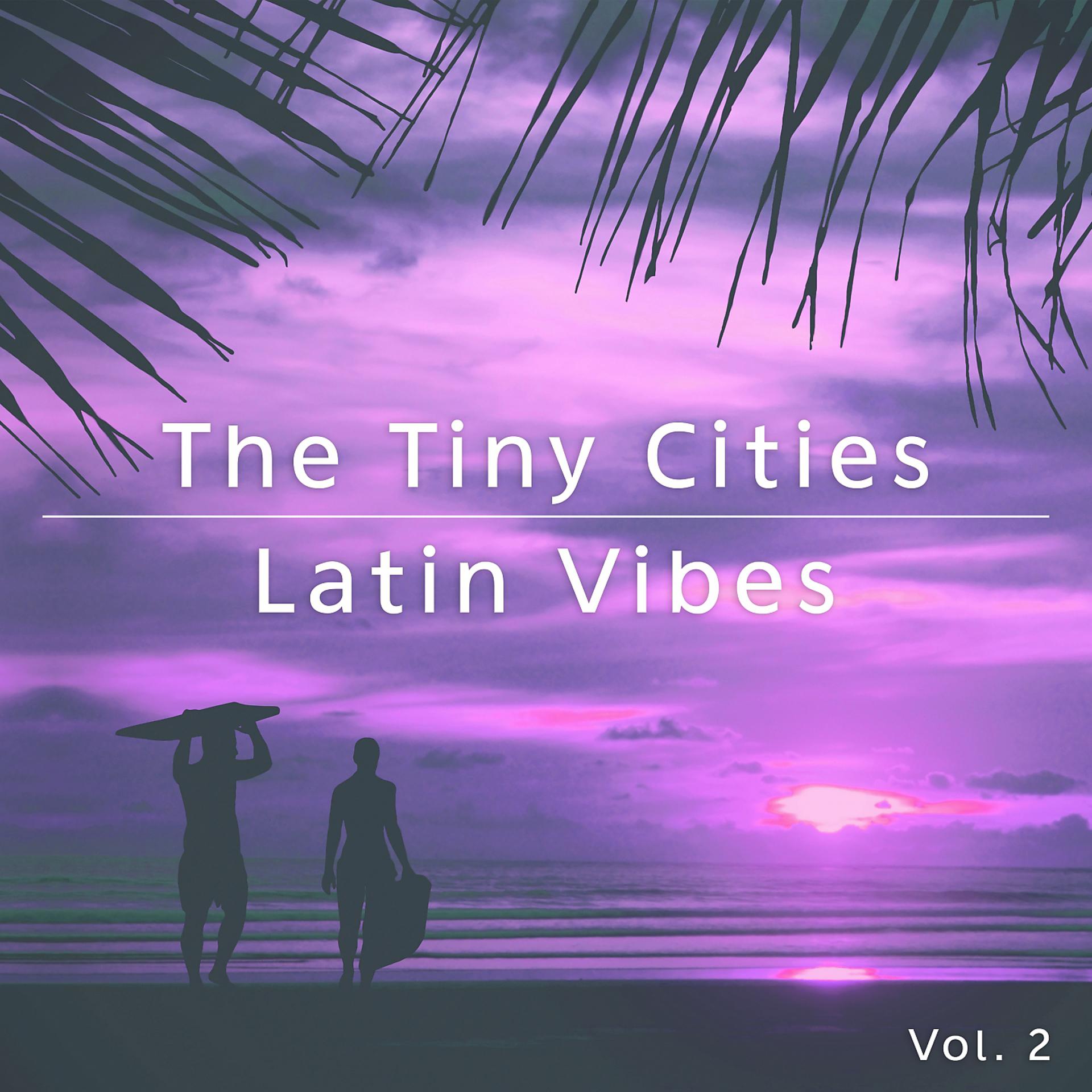 Постер альбома Latin Vibes, Vol. 2