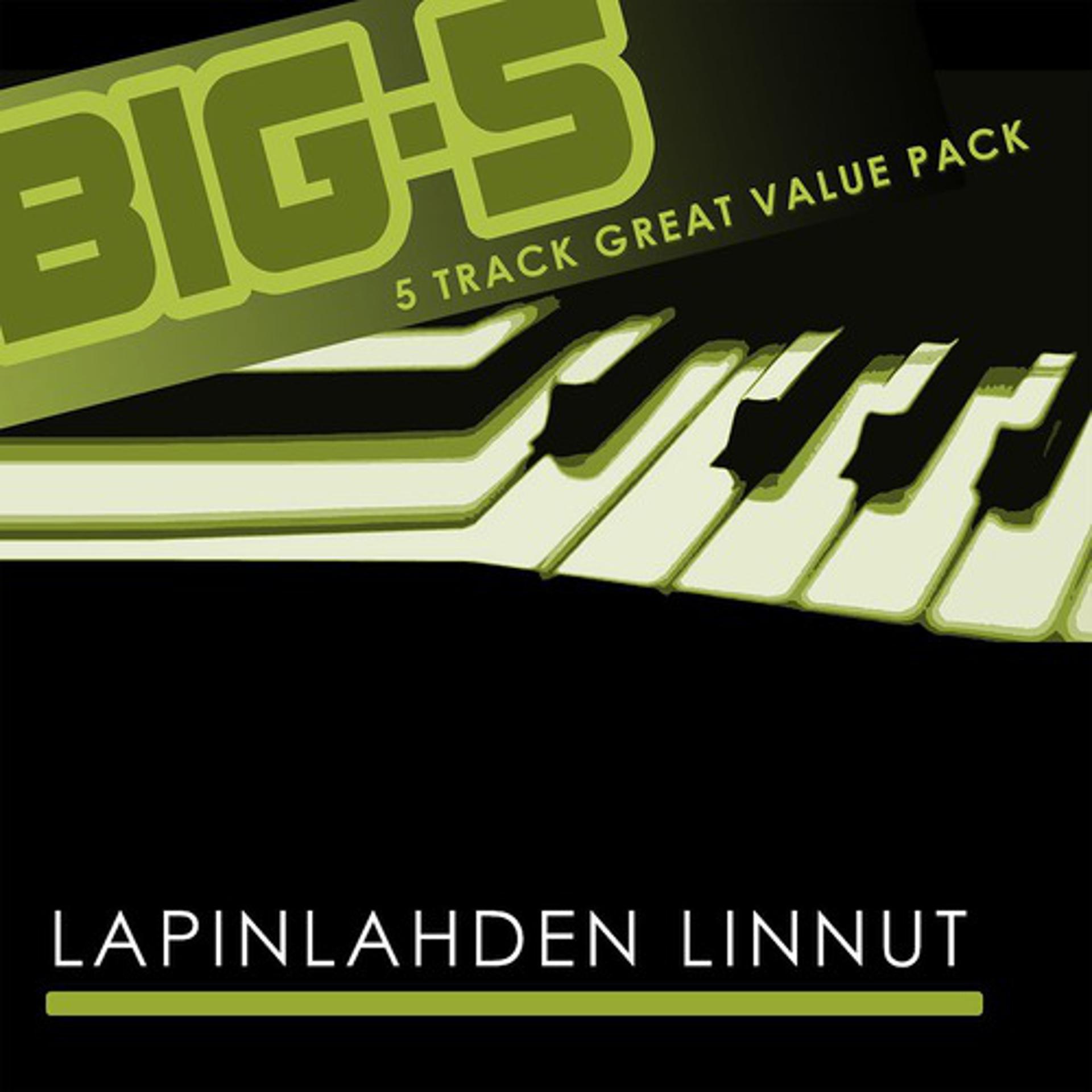 Постер альбома Big-5: Lapinlahden Linnut