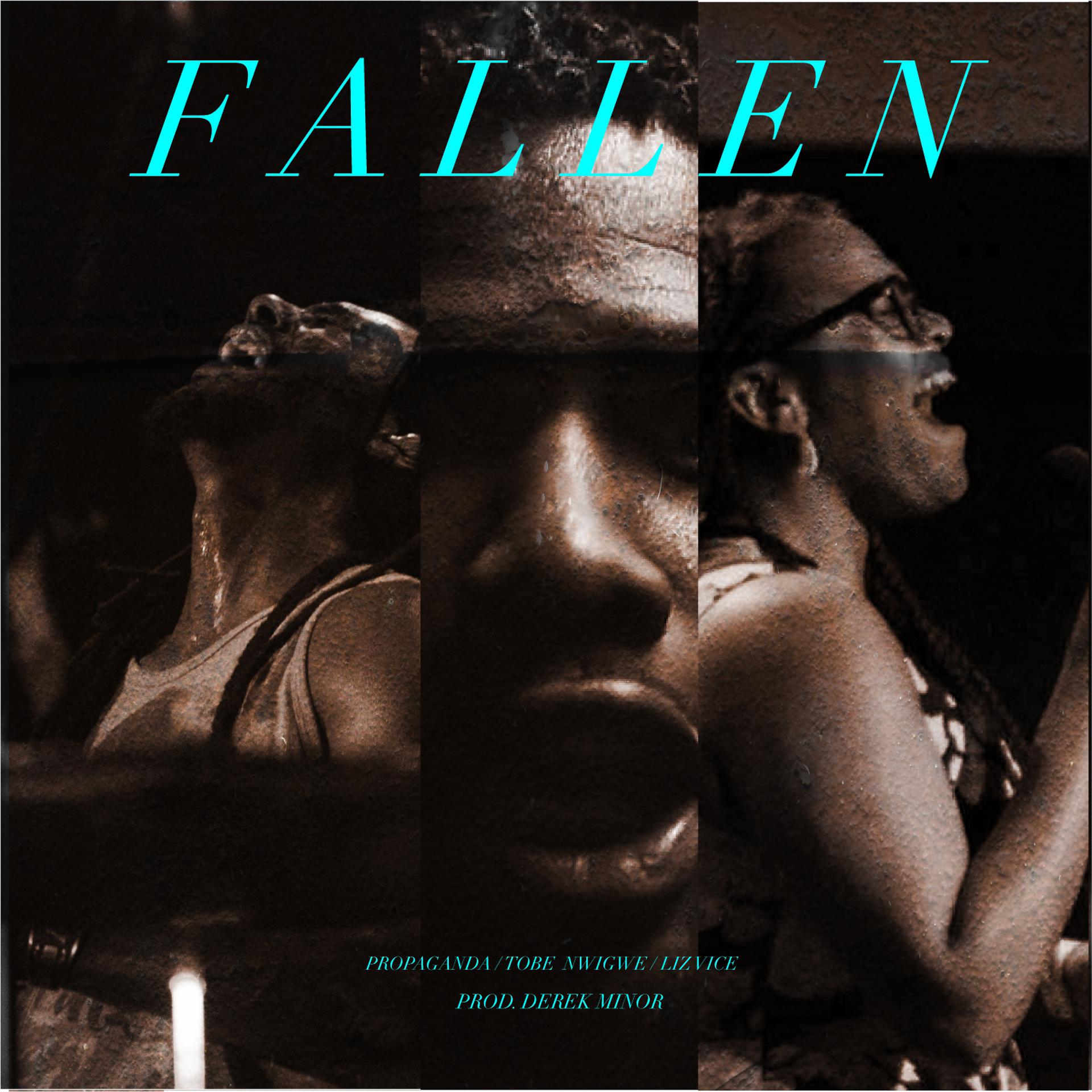 Постер альбома Fallen (feat. Liz Vice)