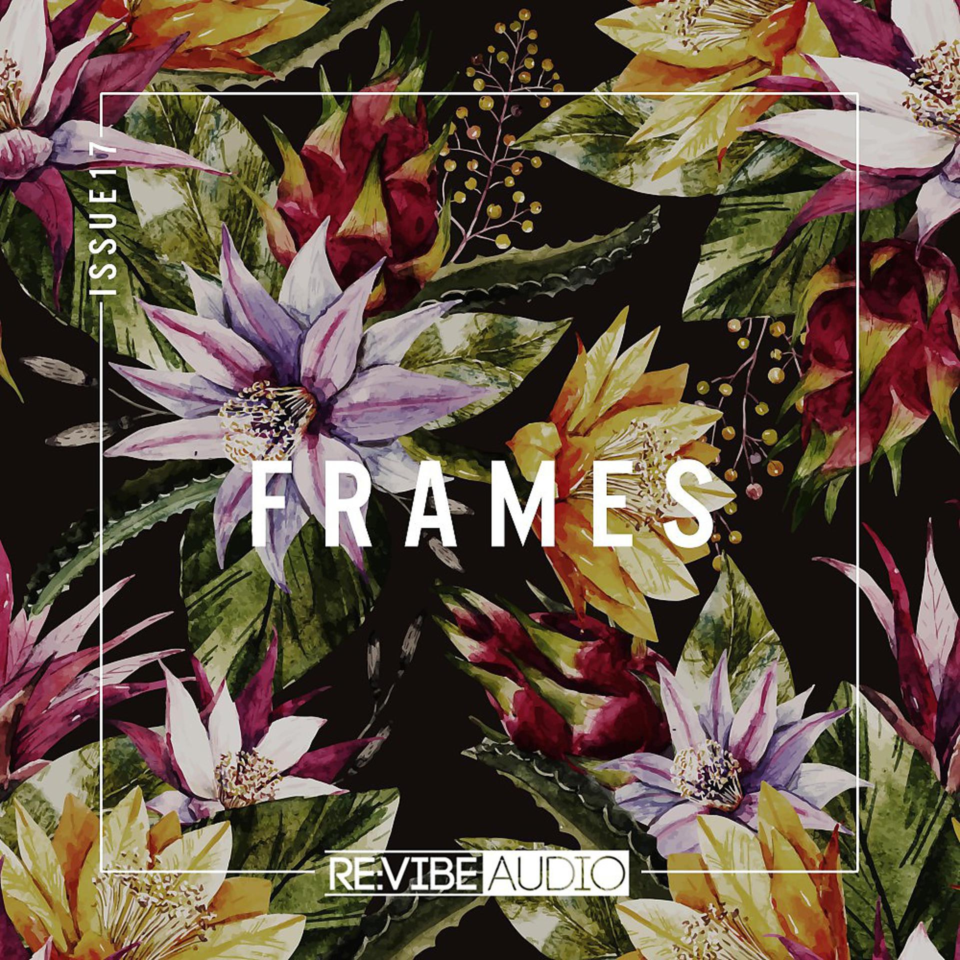 Постер альбома Frames Issue 17