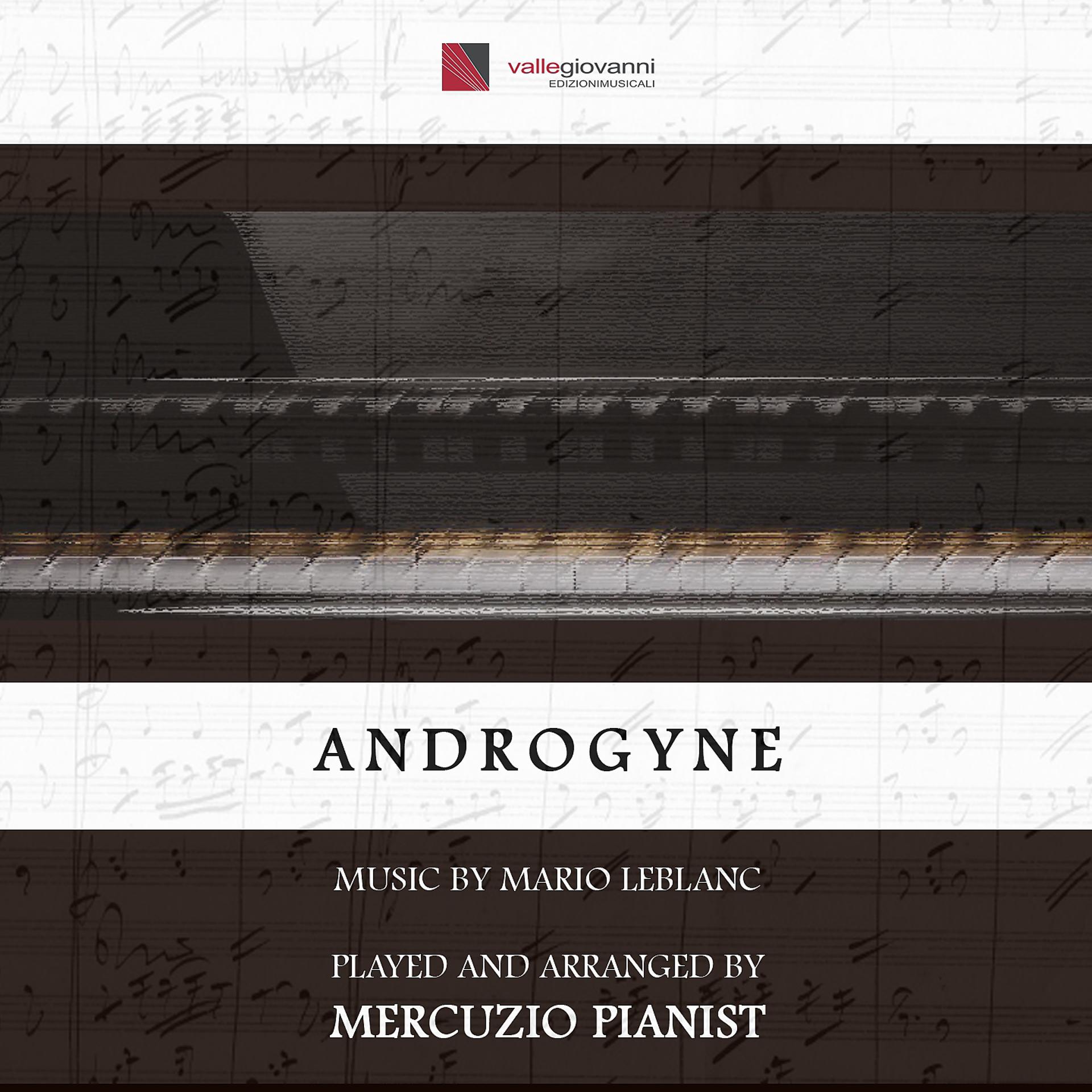 Постер альбома Androgyne