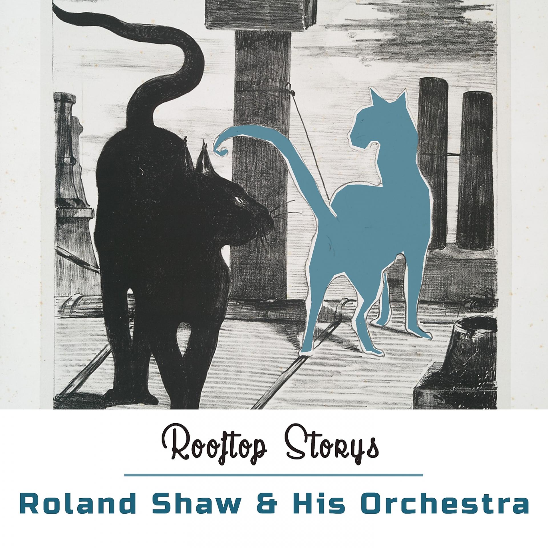 Постер альбома Rooftop Storys