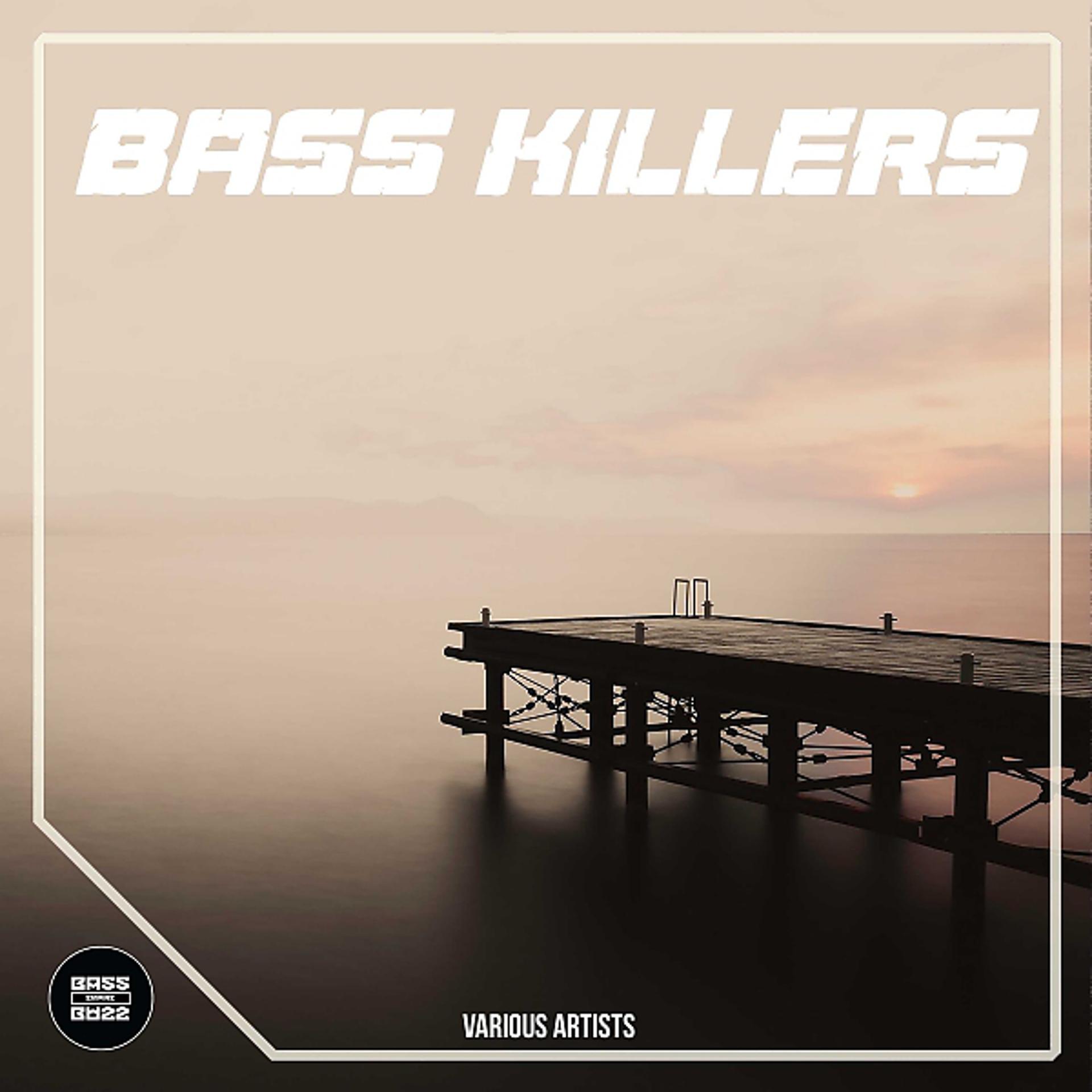Постер альбома Bass Killers