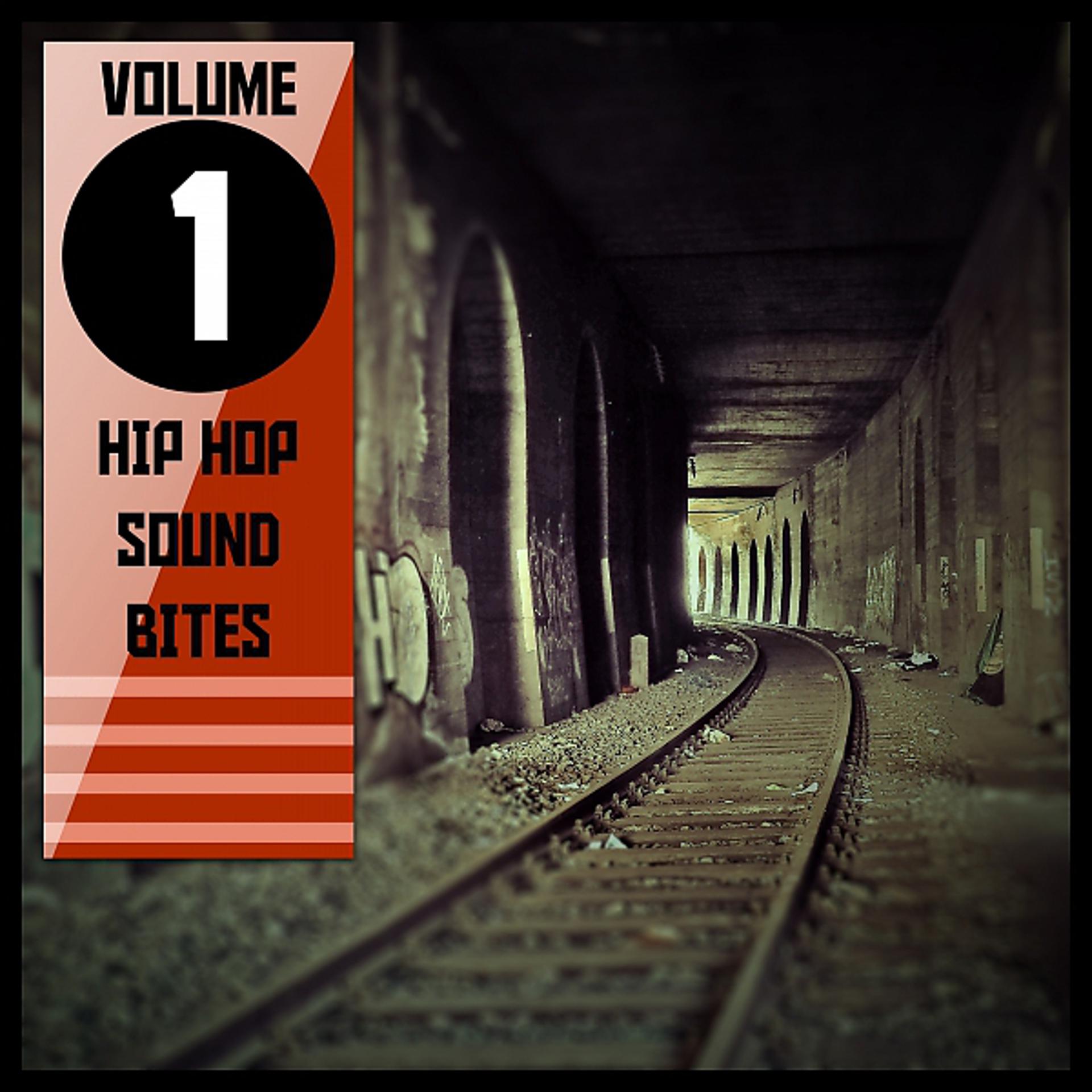 Постер альбома Hip Hop Sound Bites,Vol.1