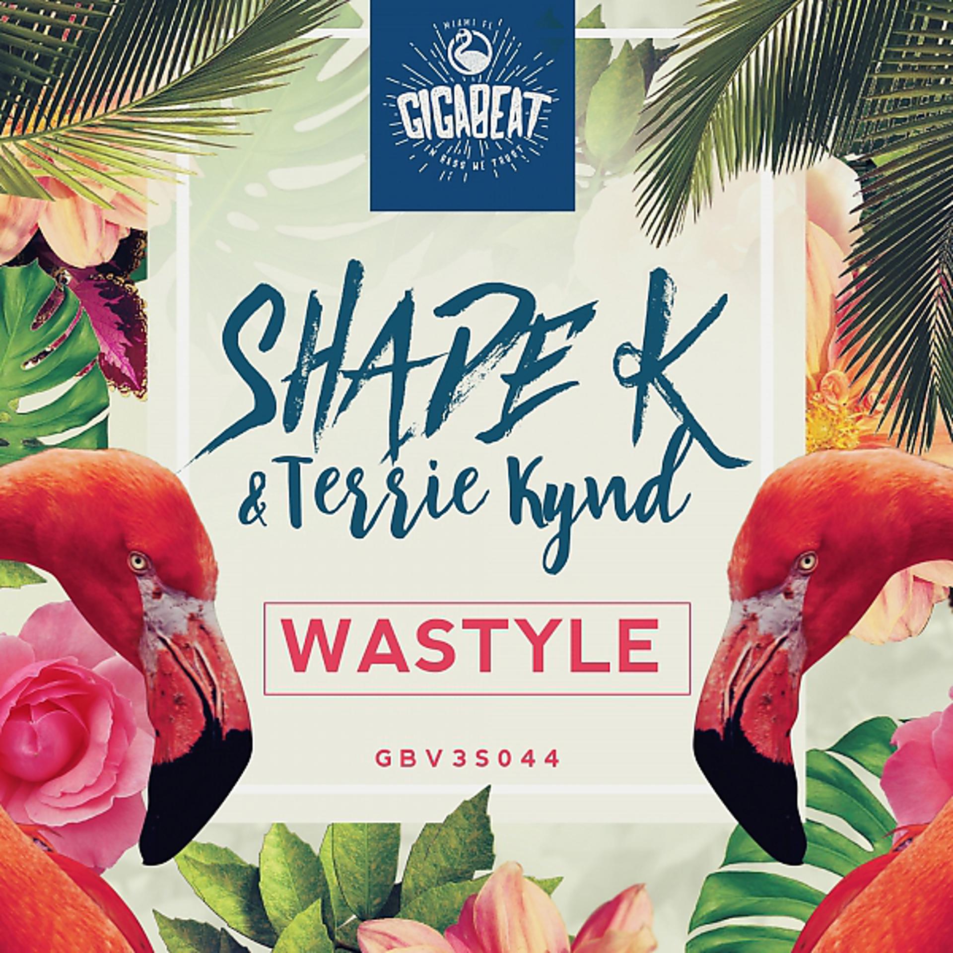 Постер альбома Wastyle