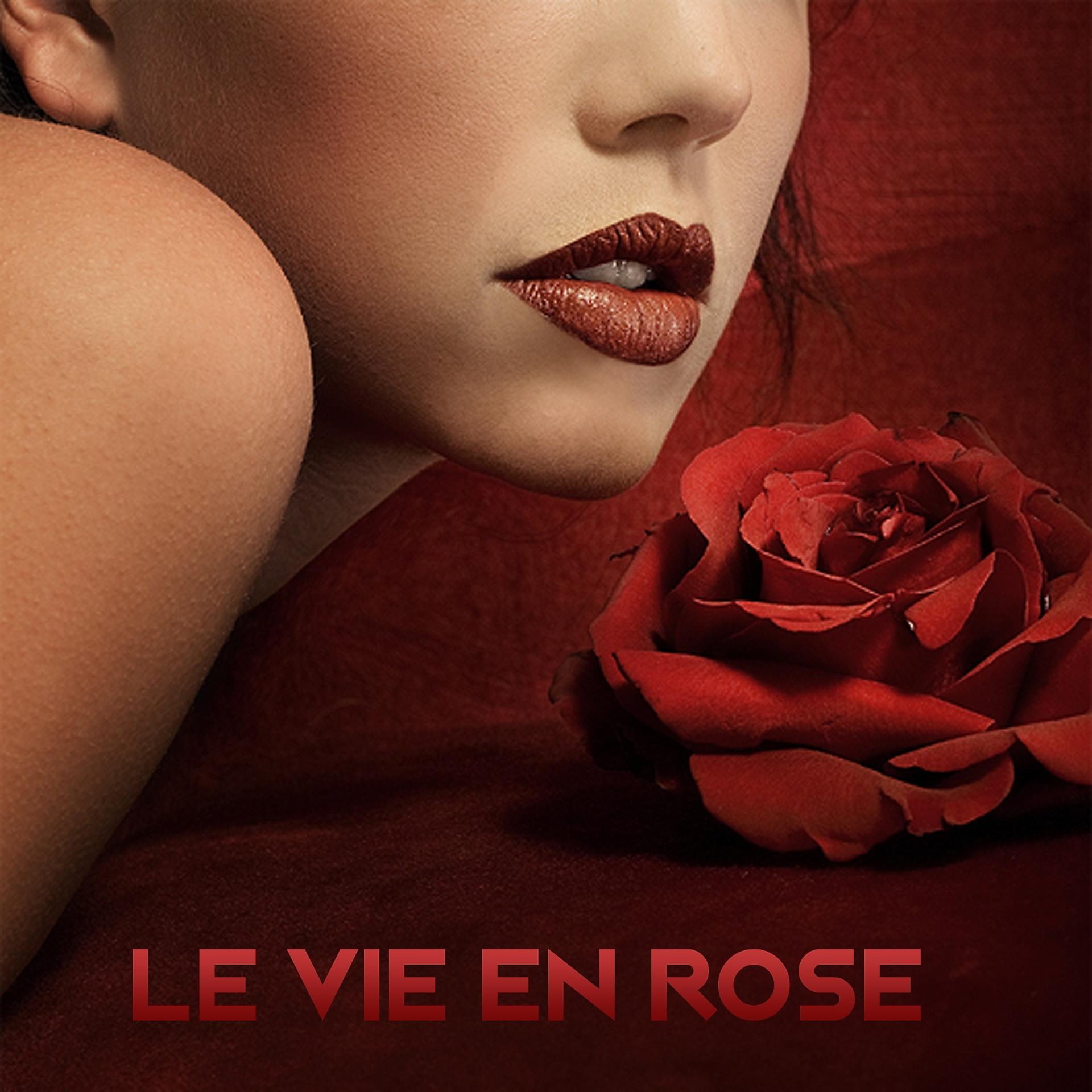 Постер альбома Le Vie En Rose