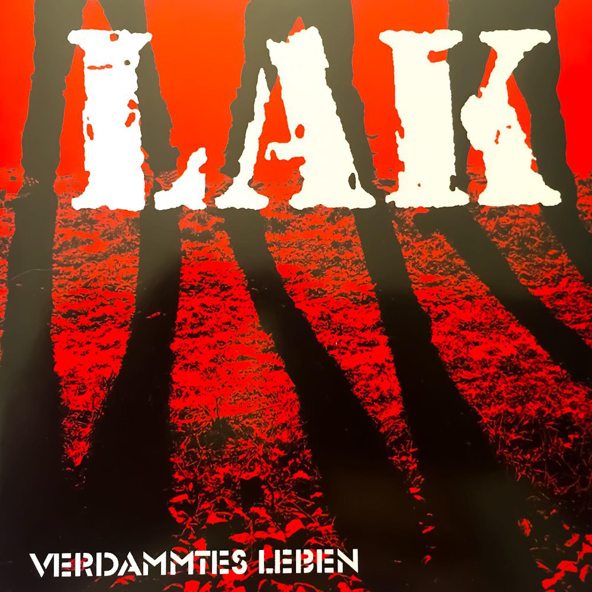 Постер альбома Verdammtes Leben